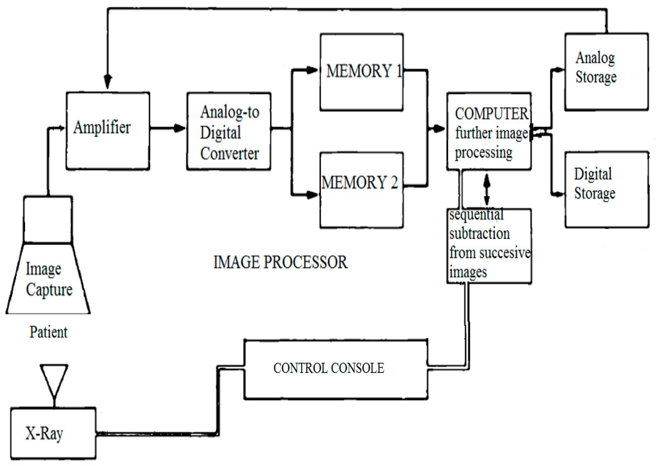 Medsci 07 00026 g001 550