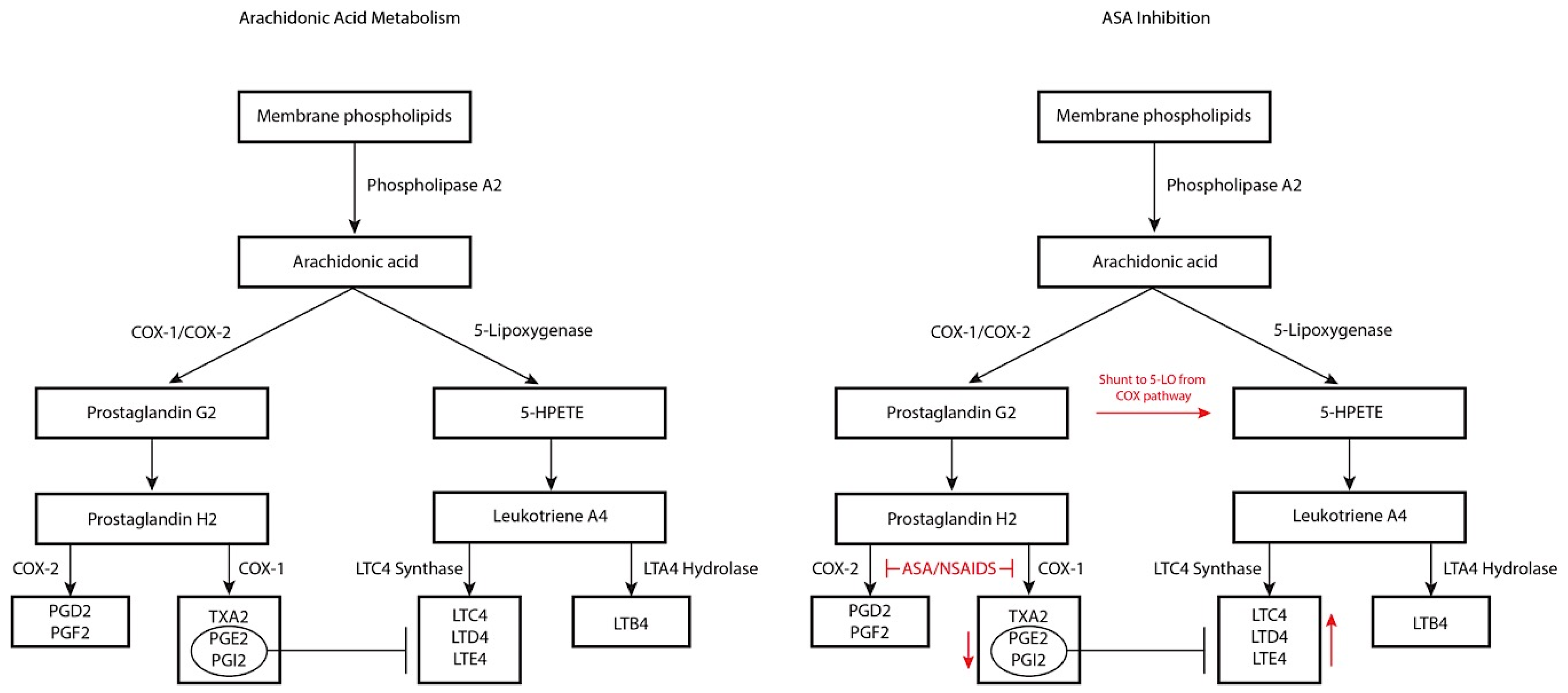 Medical Sciences Free FullText Aspirin Exacerbated Respiratory