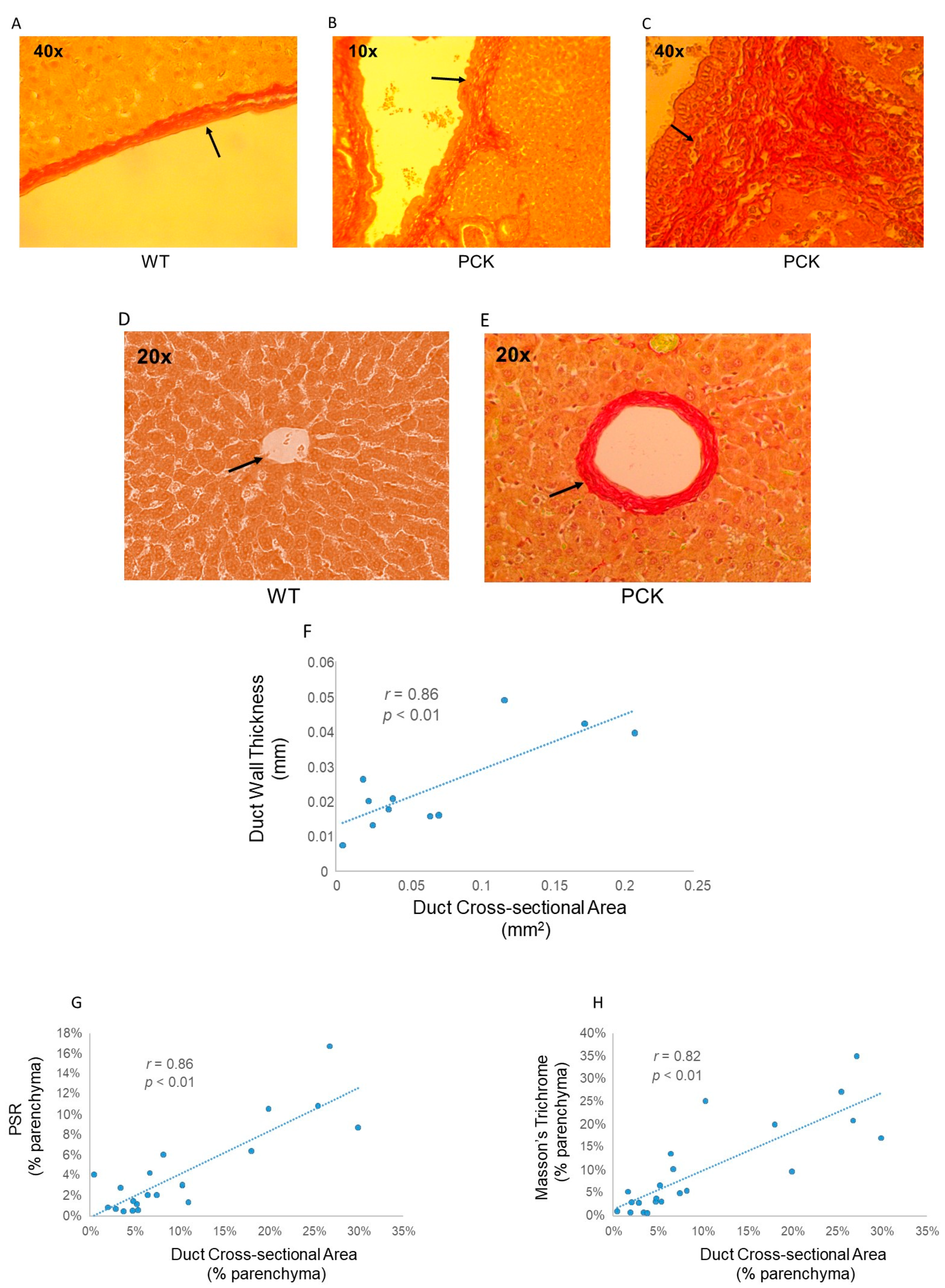 Medsci 07 00055 g007