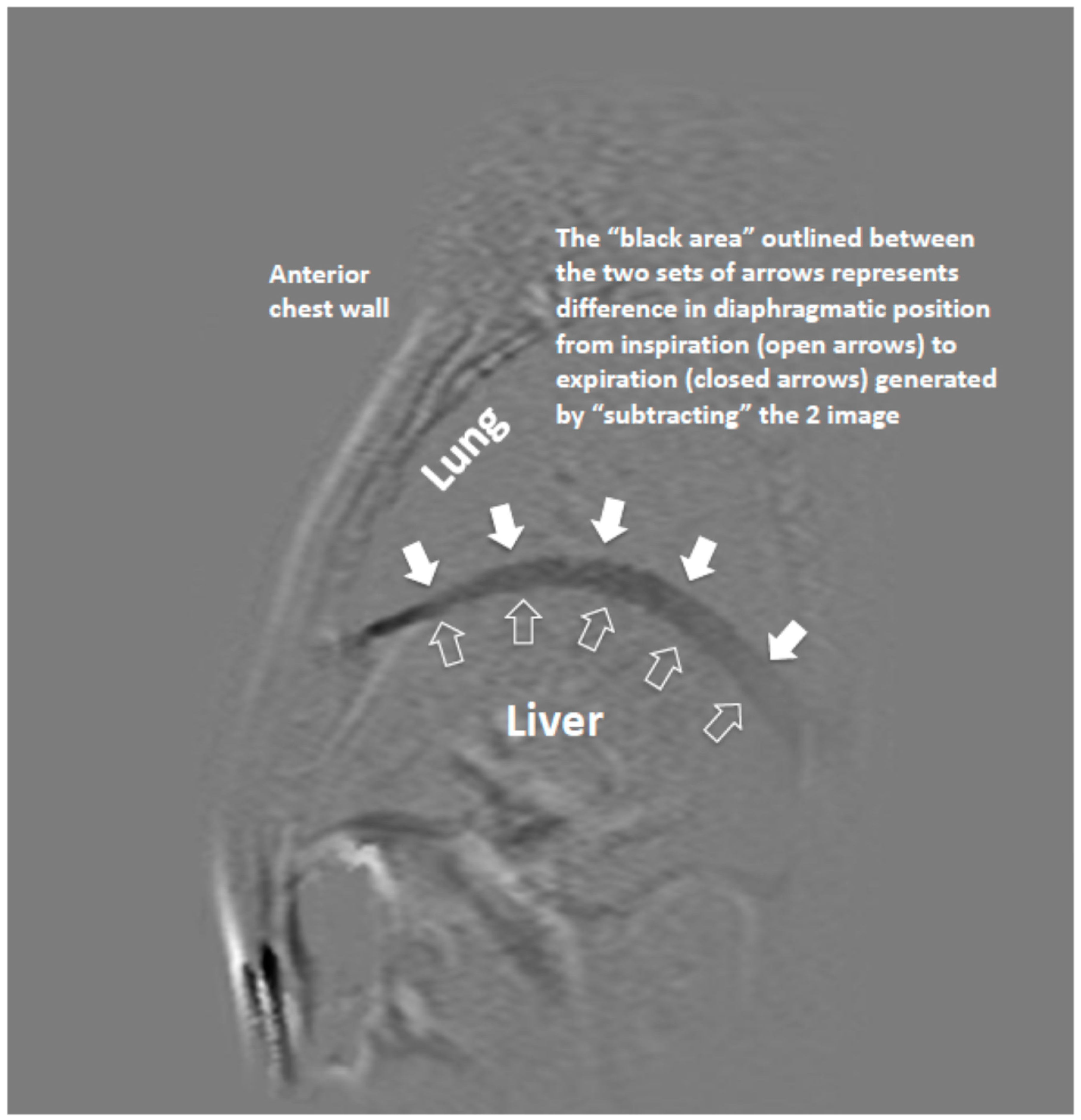 Medsci 07 00066 g001 550