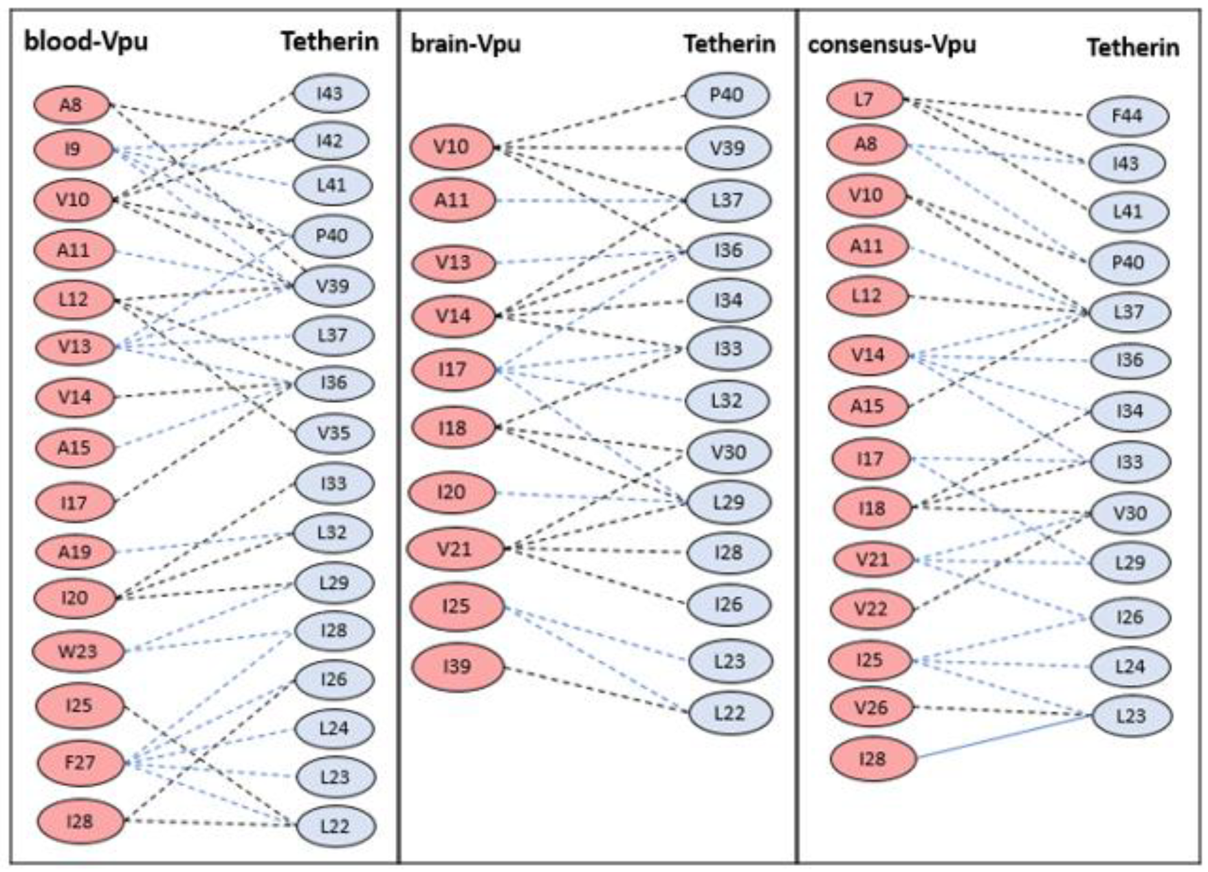 Medsci 07 00074 g002