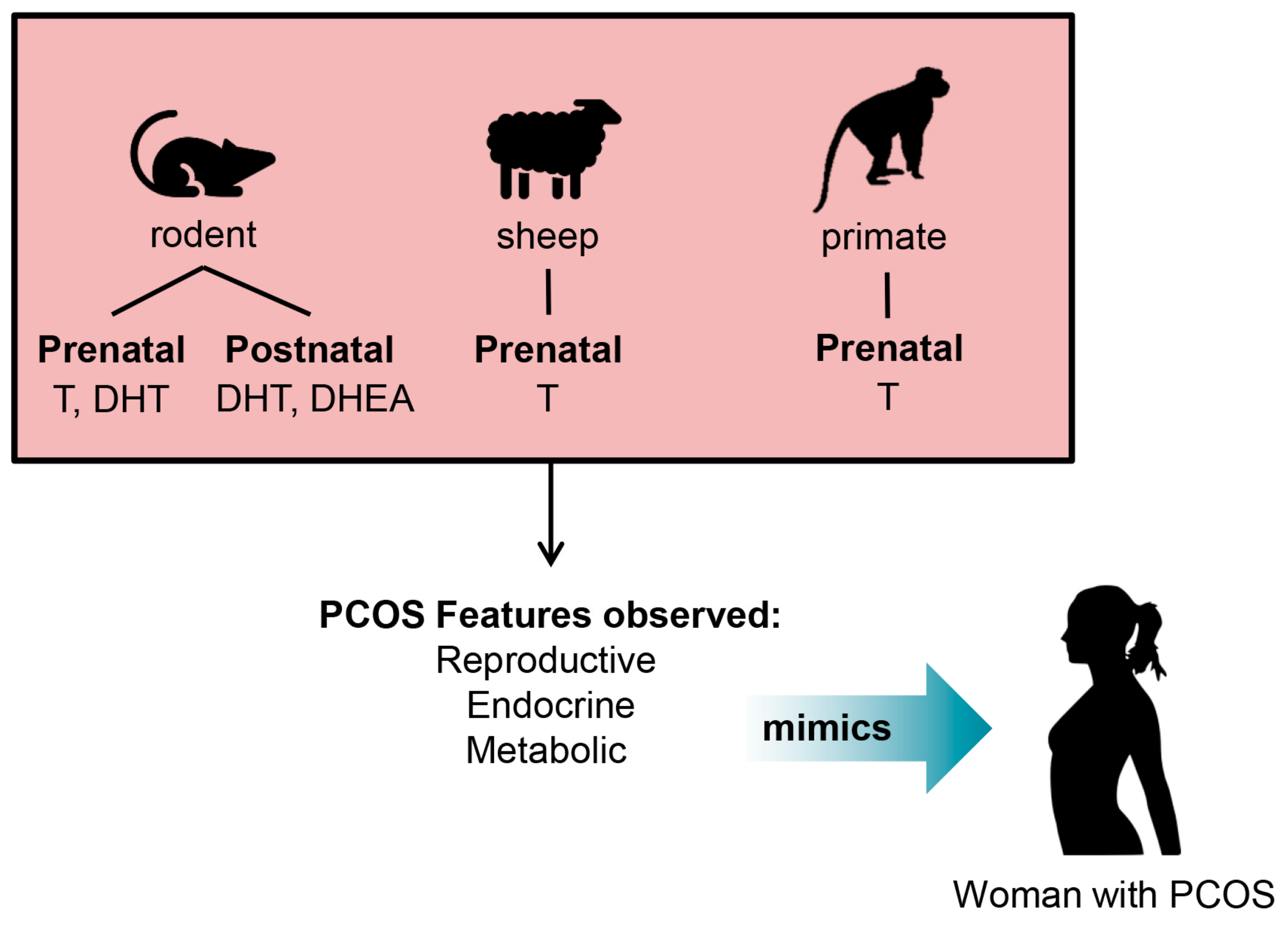 Medsci 07 00089 g002 Medsci 07 00089 g002