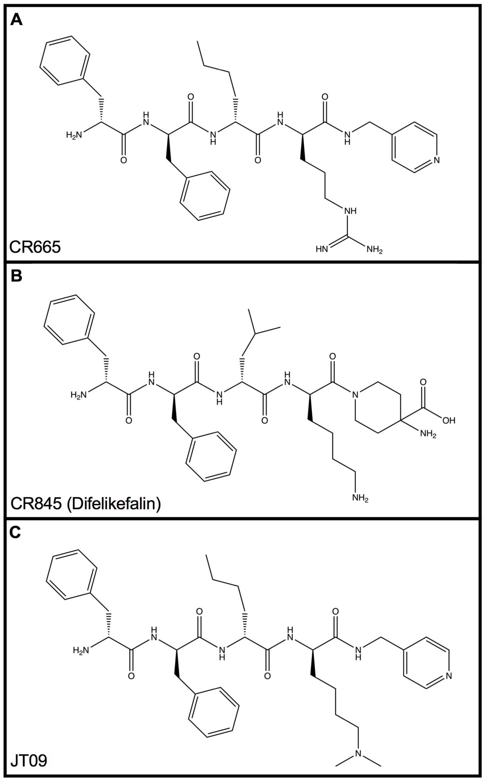 Medsci 07 00093 g001 Medsci 07 00093 g001
