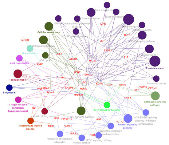 コンピュータ・IT iPhone6s Network Pharmacology Approach Reveals the Potential Immune