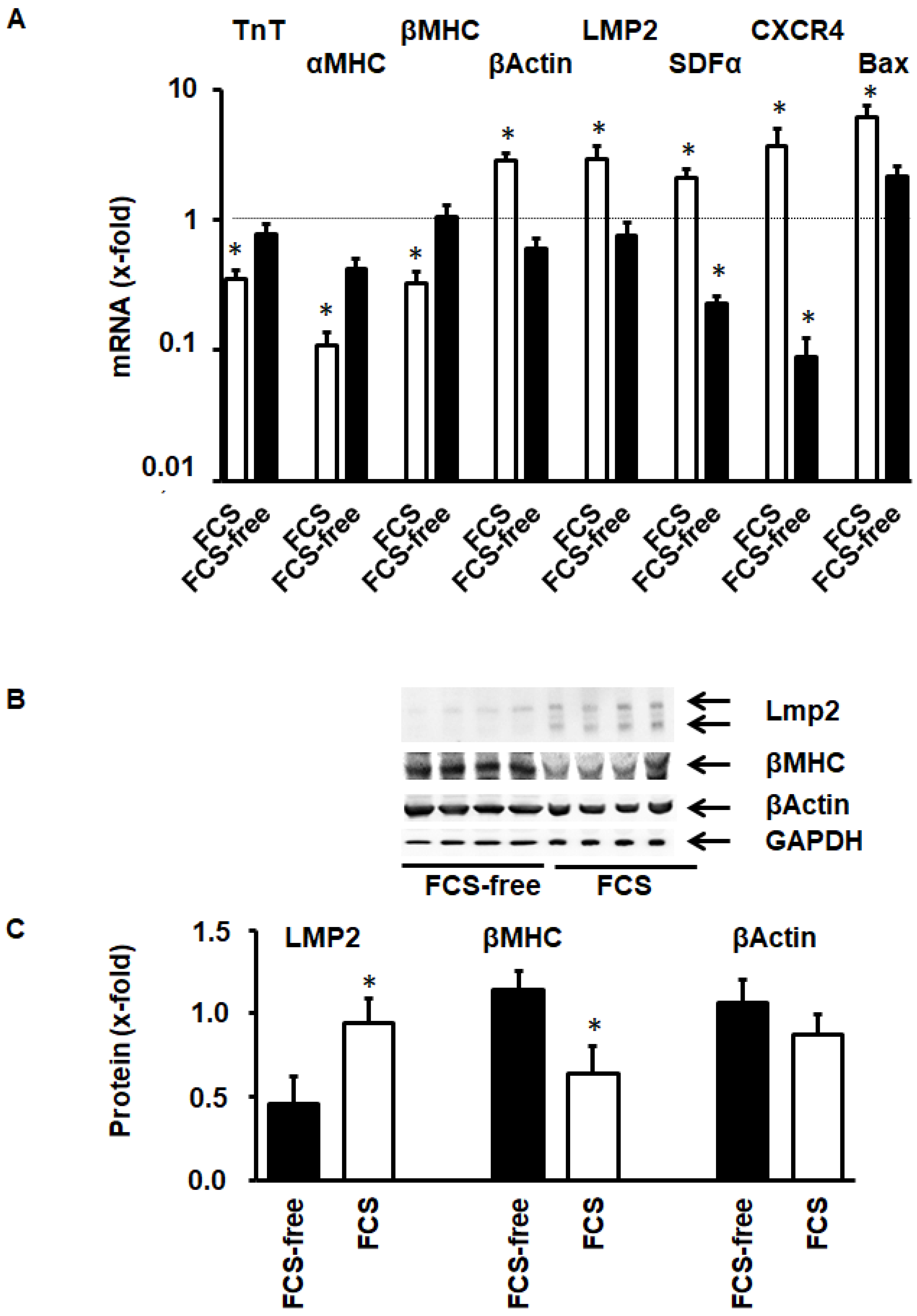 Medsci 08 00021 g005 Medsci 08 00021 g005