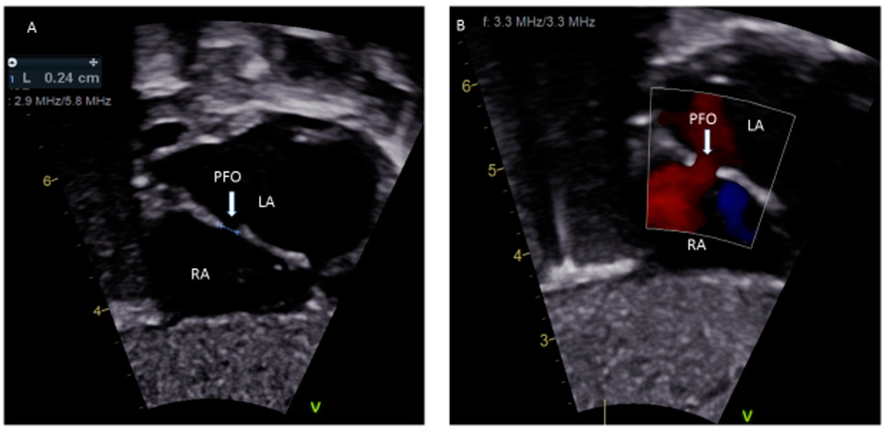 Medsci 08 00025 g001 Medsci 08 00025 g001