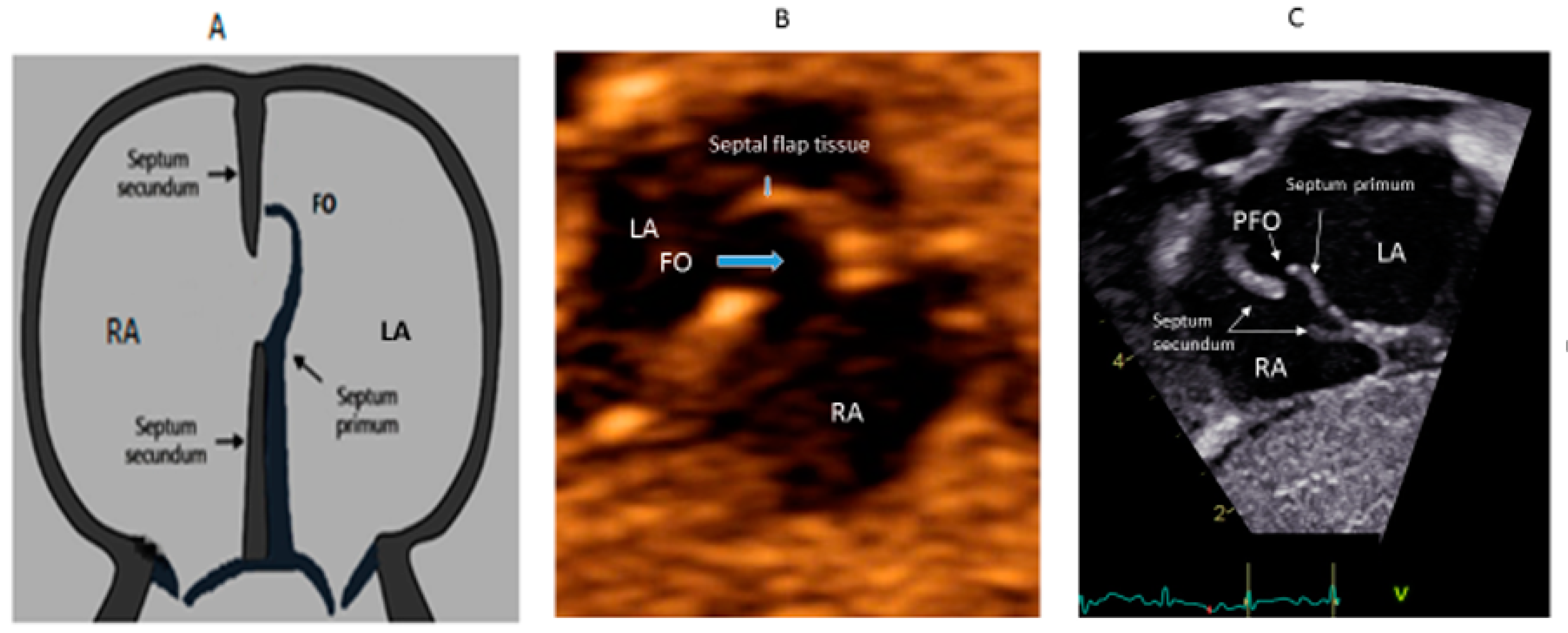 Medsci 08 00025 g002 Medsci 08 00025 g002
