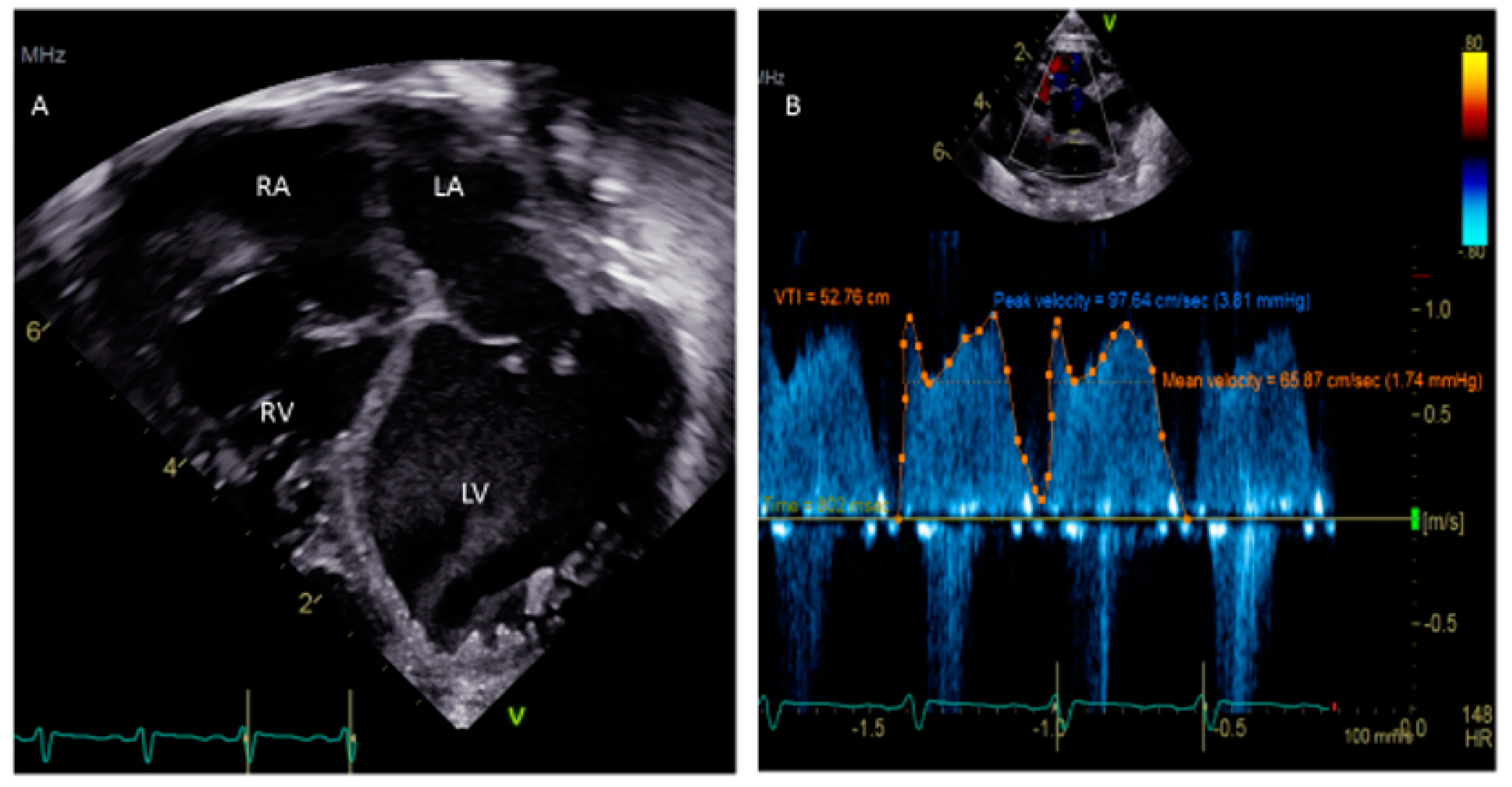 Medsci 08 00025 g003 Medsci 08 00025 g003