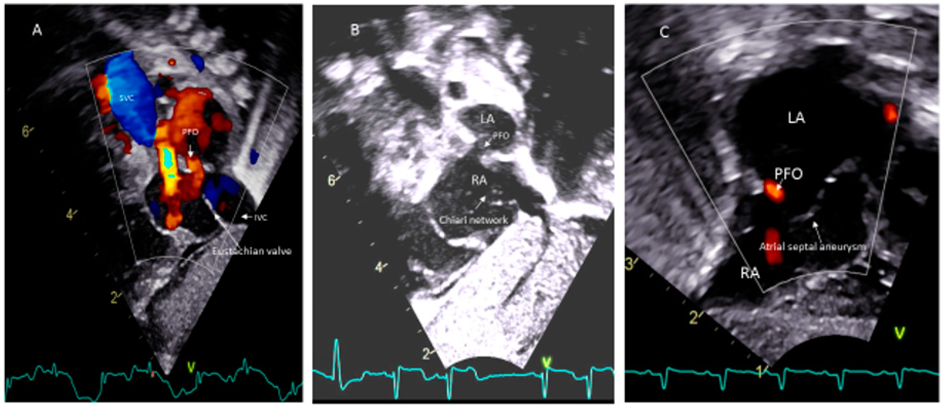 Medsci 08 00025 g004 Medsci 08 00025 g004