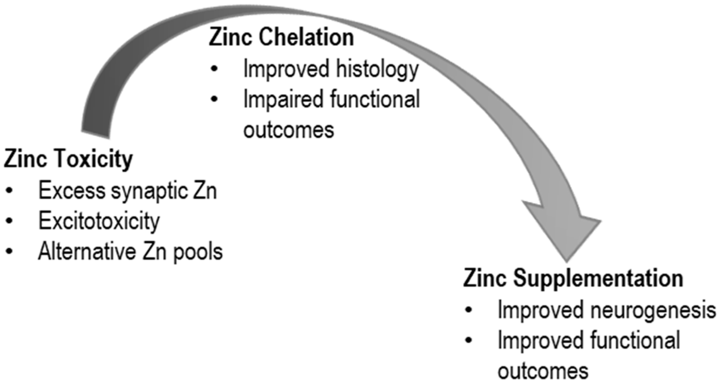 Medsci 08 00036 g001 Medsci 08 00036 g001
