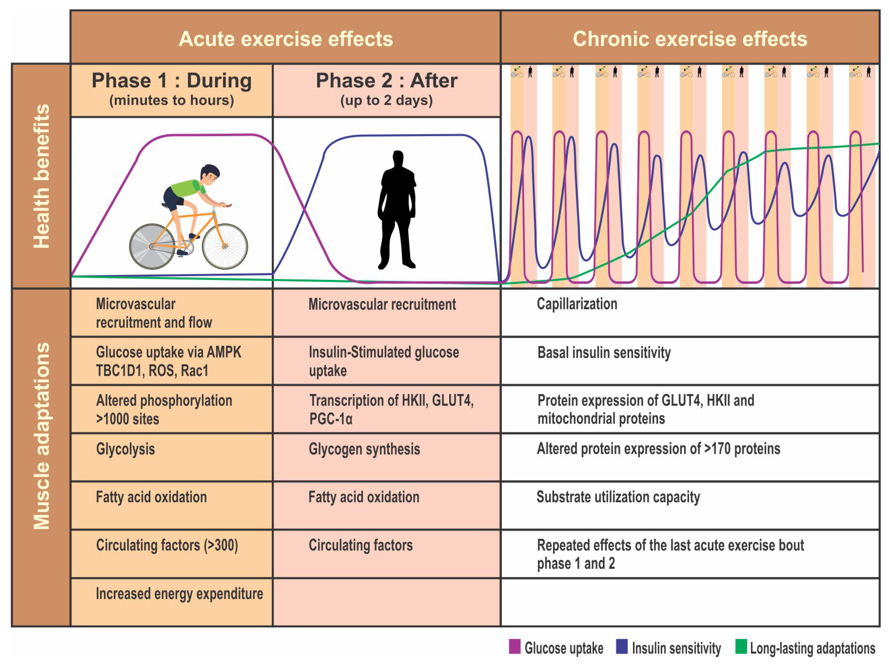Medsci 08 00051 g003 Medsci 08 00051 g003