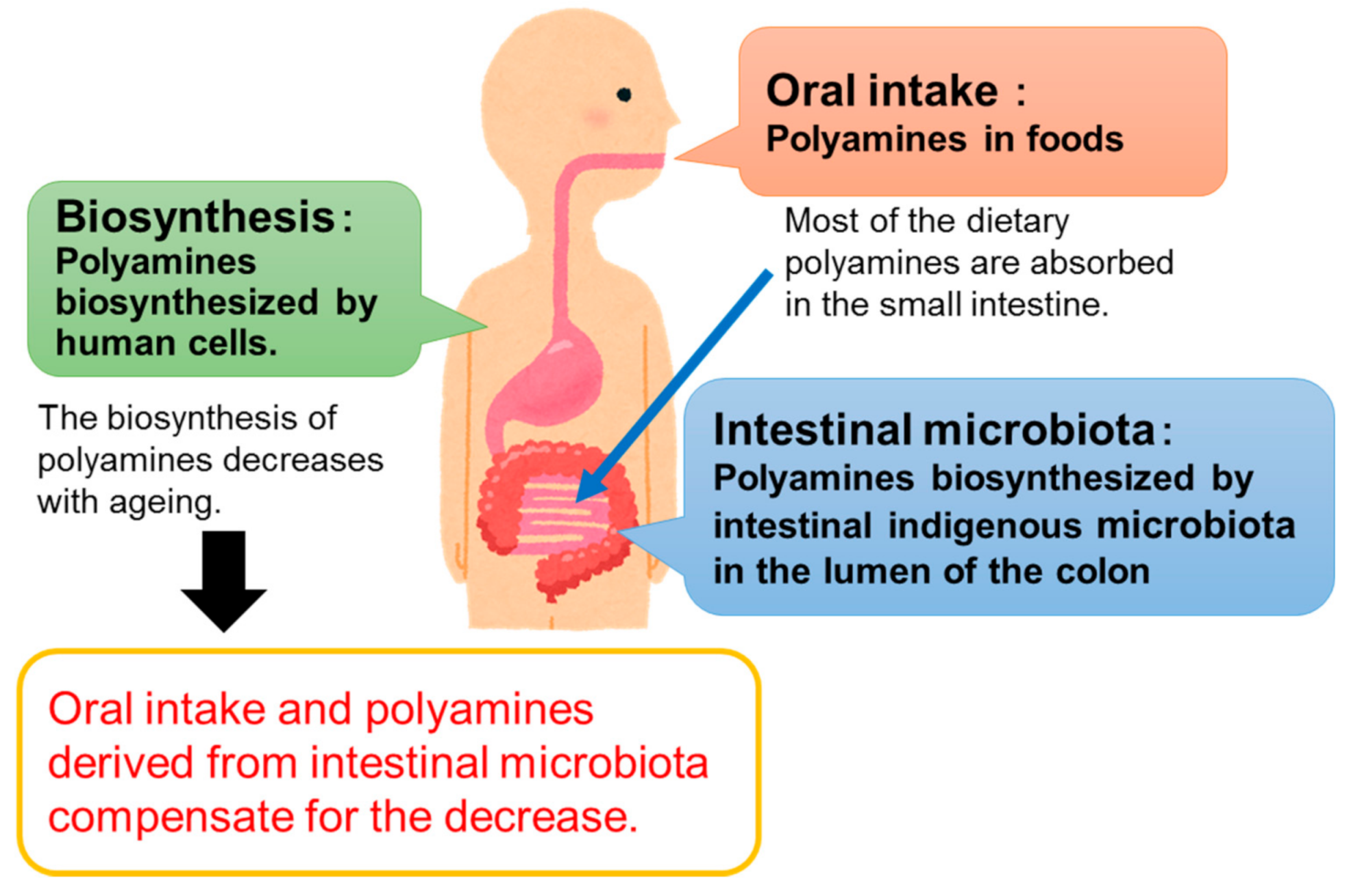 Medsci 09 00008 g001