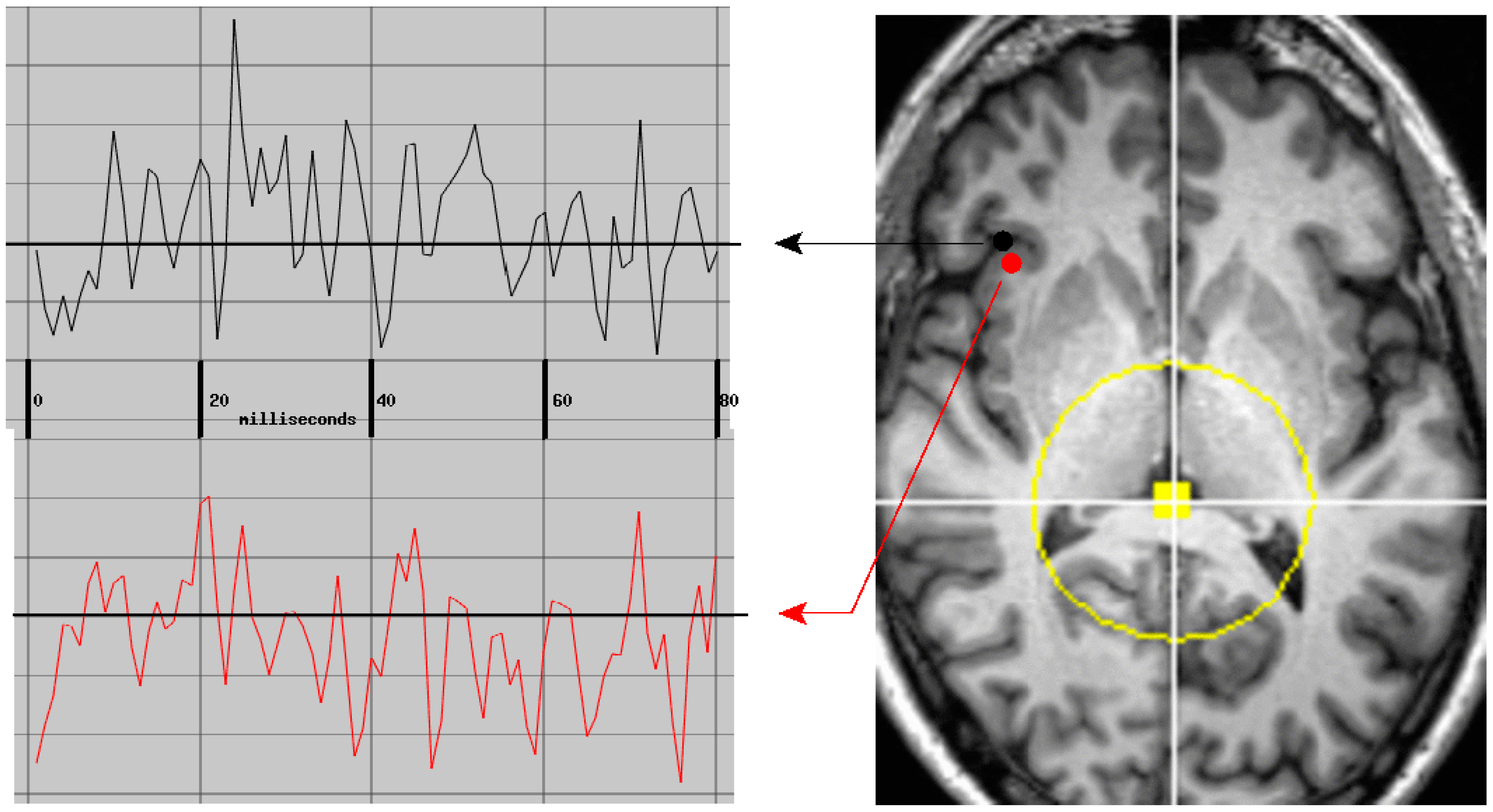 Medsci 09 00020 g008