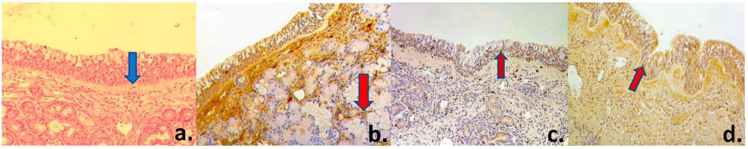 Medsci 09 00025 g001 Medsci 09 00025 g001