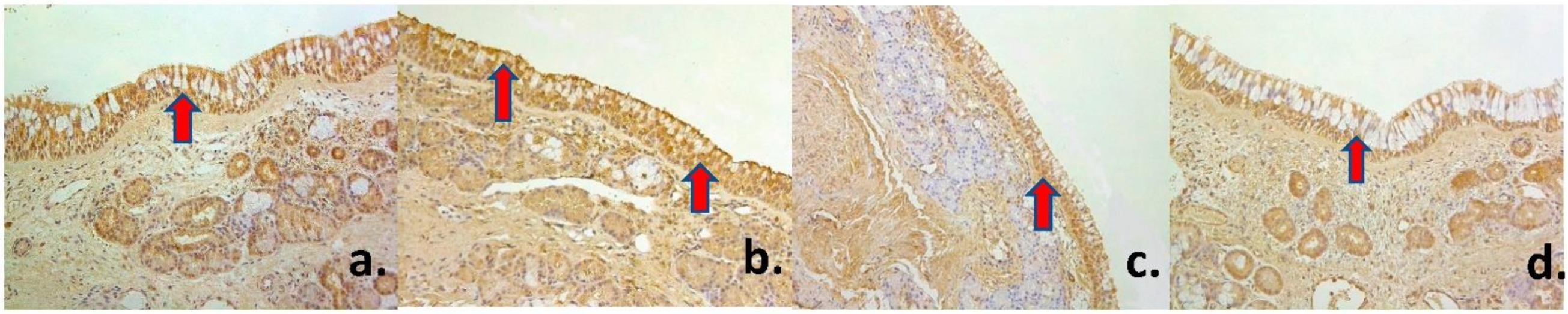 Medsci 09 00025 g002 Medsci 09 00025 g002