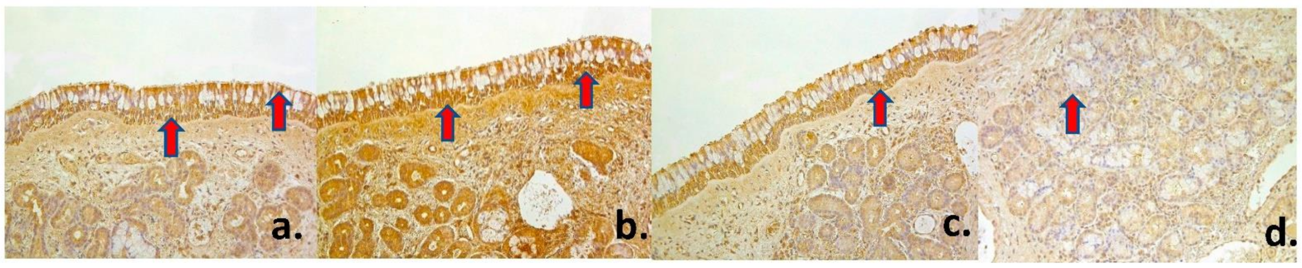 Medsci 09 00025 g003 Medsci 09 00025 g003