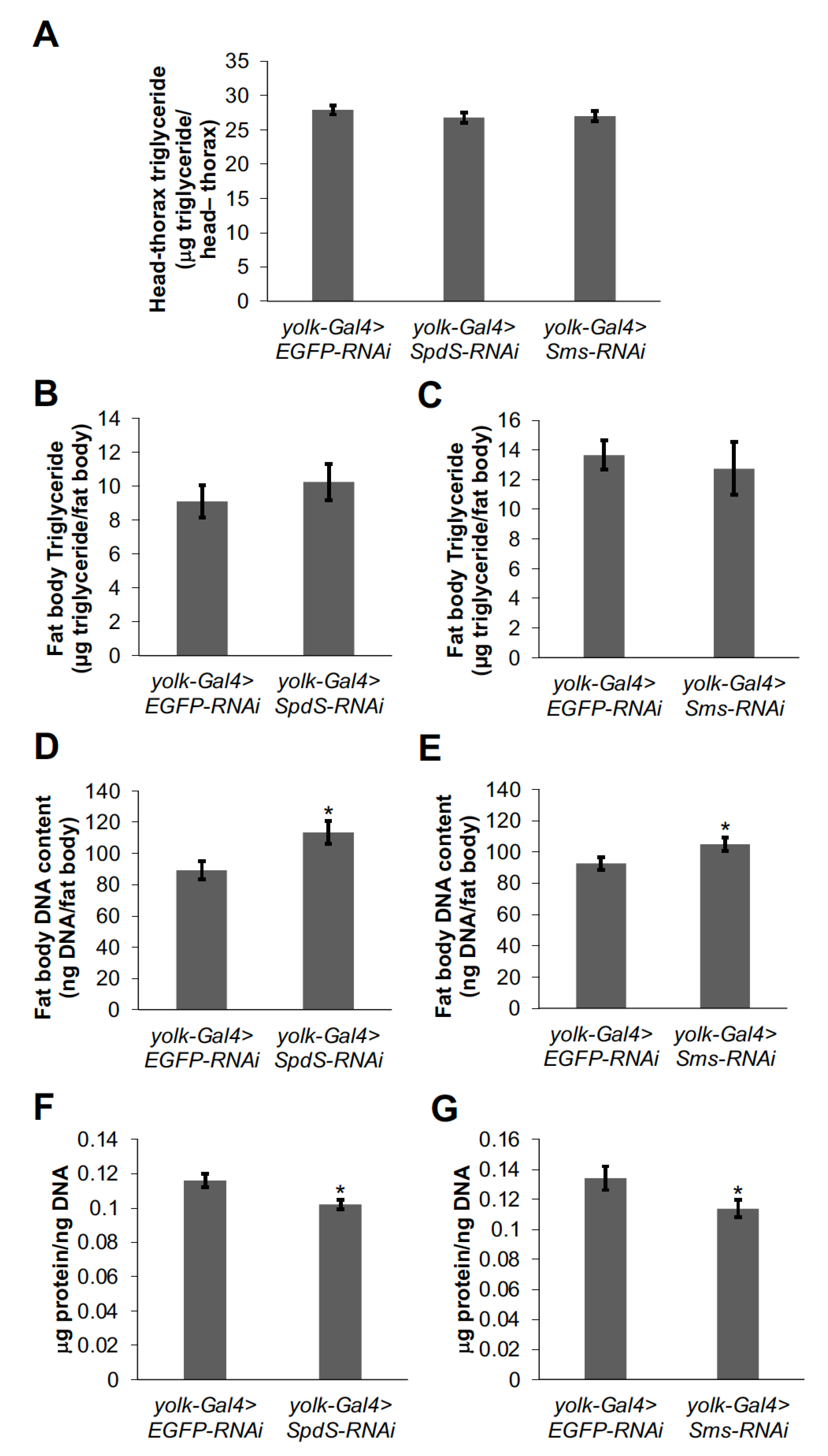 Medsci 09 00027 g004 Medsci 09 00027 g004