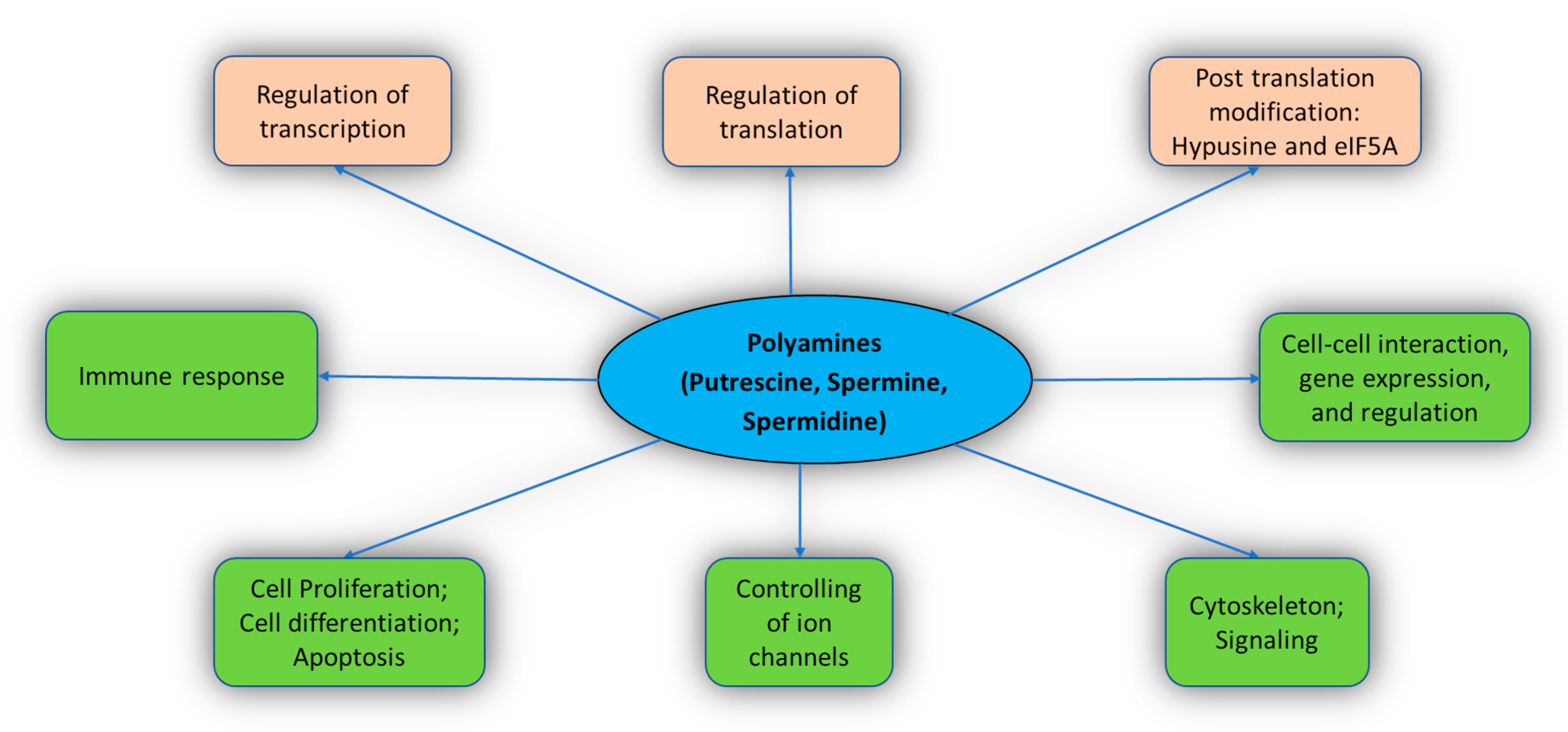 Medsci 09 00044 g002