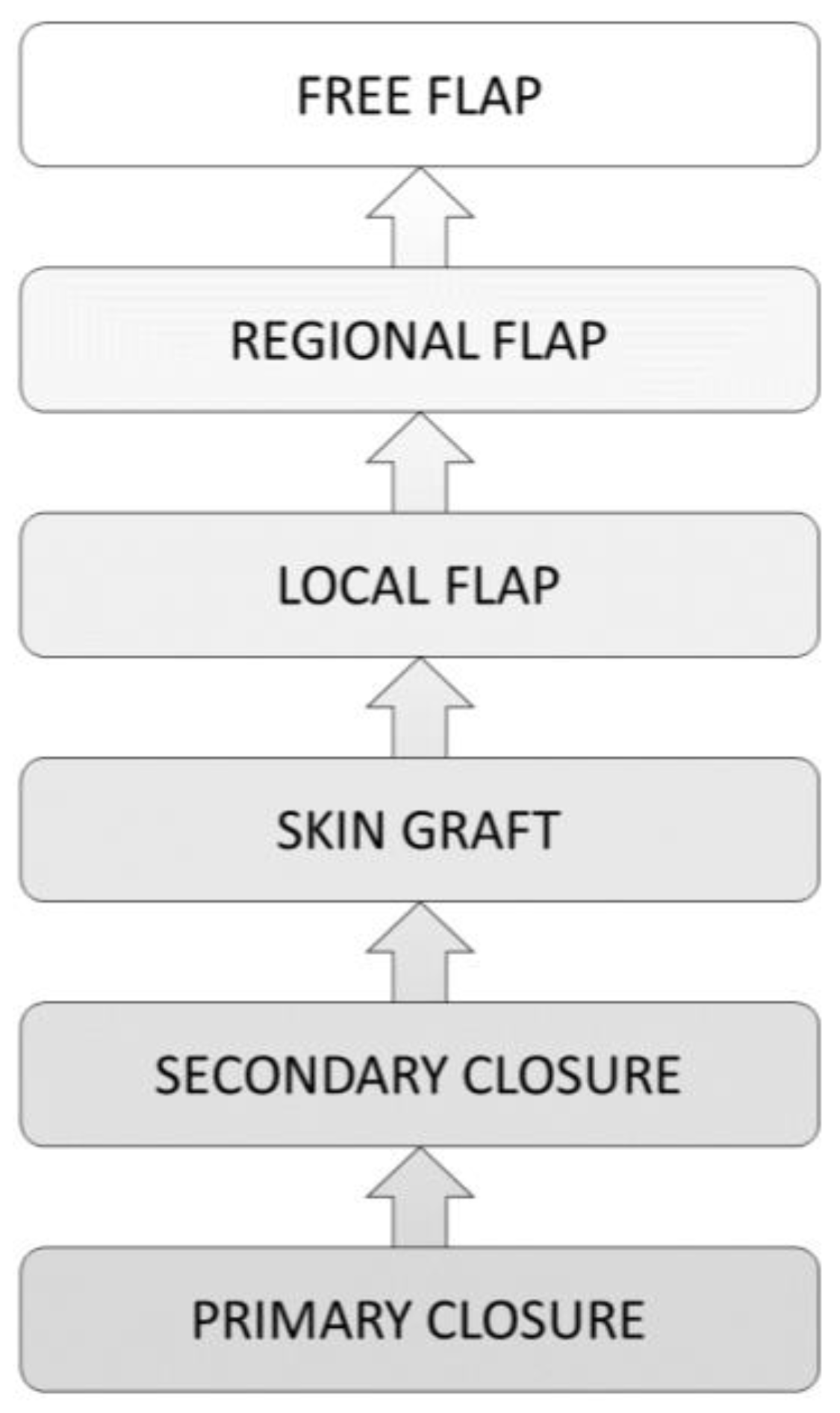 Medsci 09 00045 g003