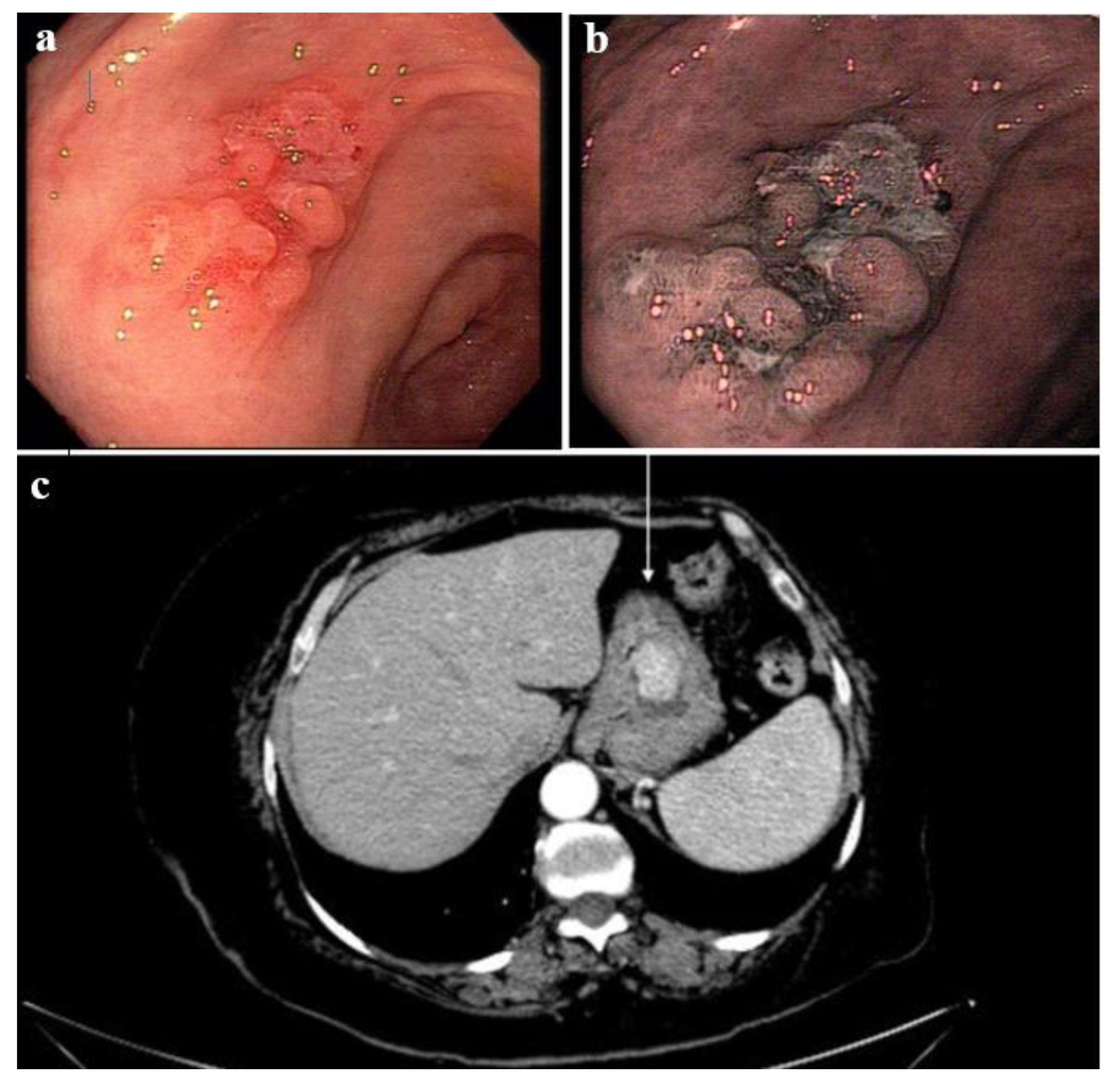 Medsci 09 00047 g002