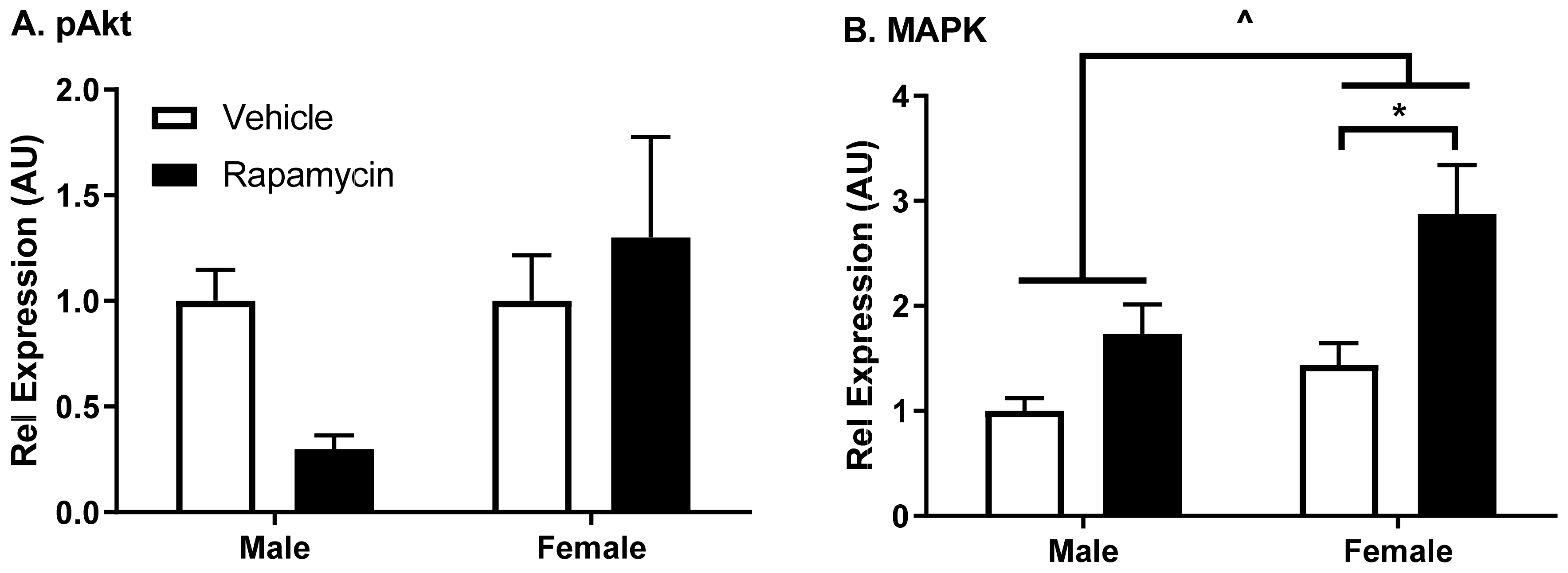 Medsci 09 00056 g005 550