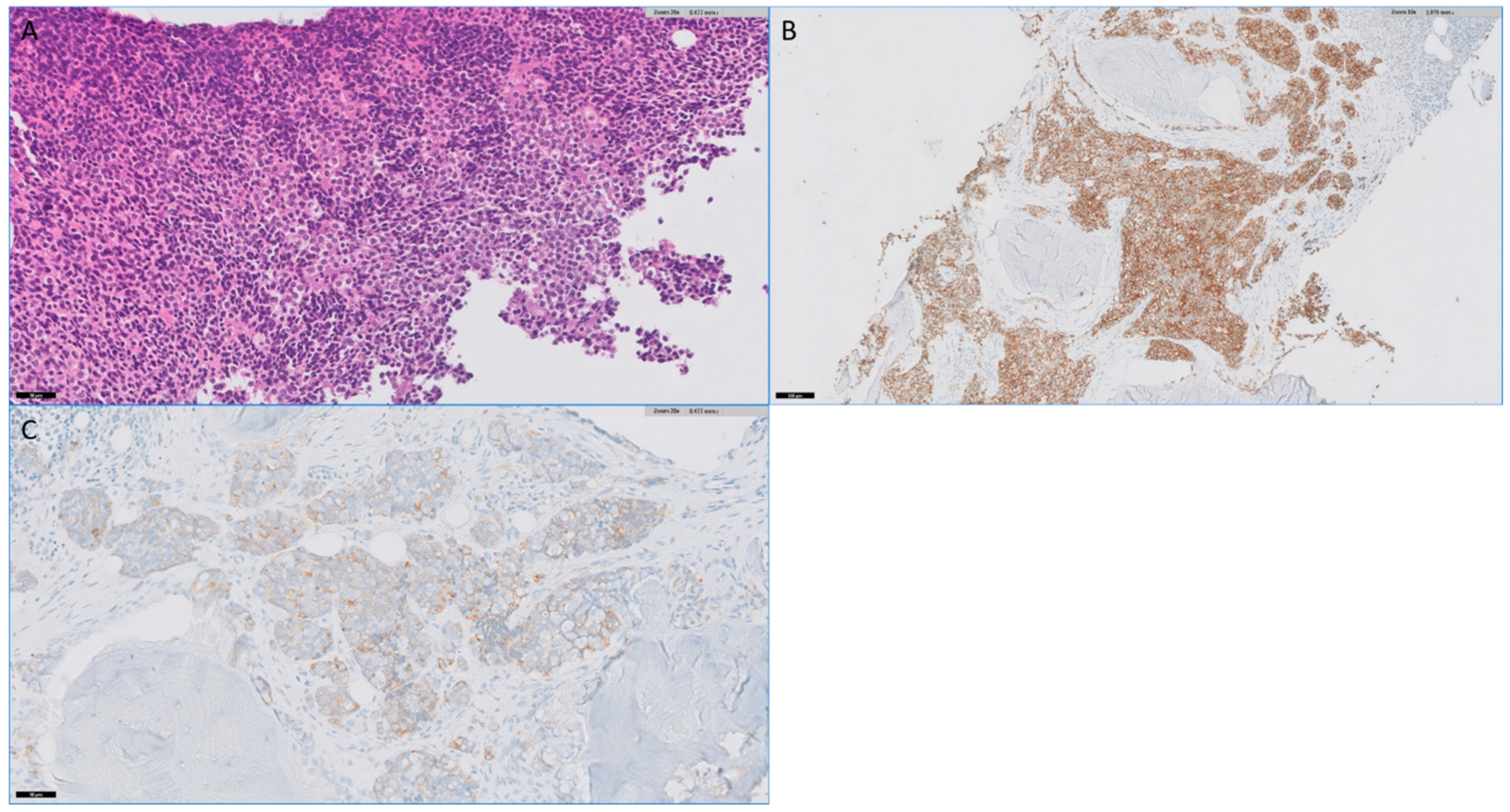 Medsci 09 00062 g001