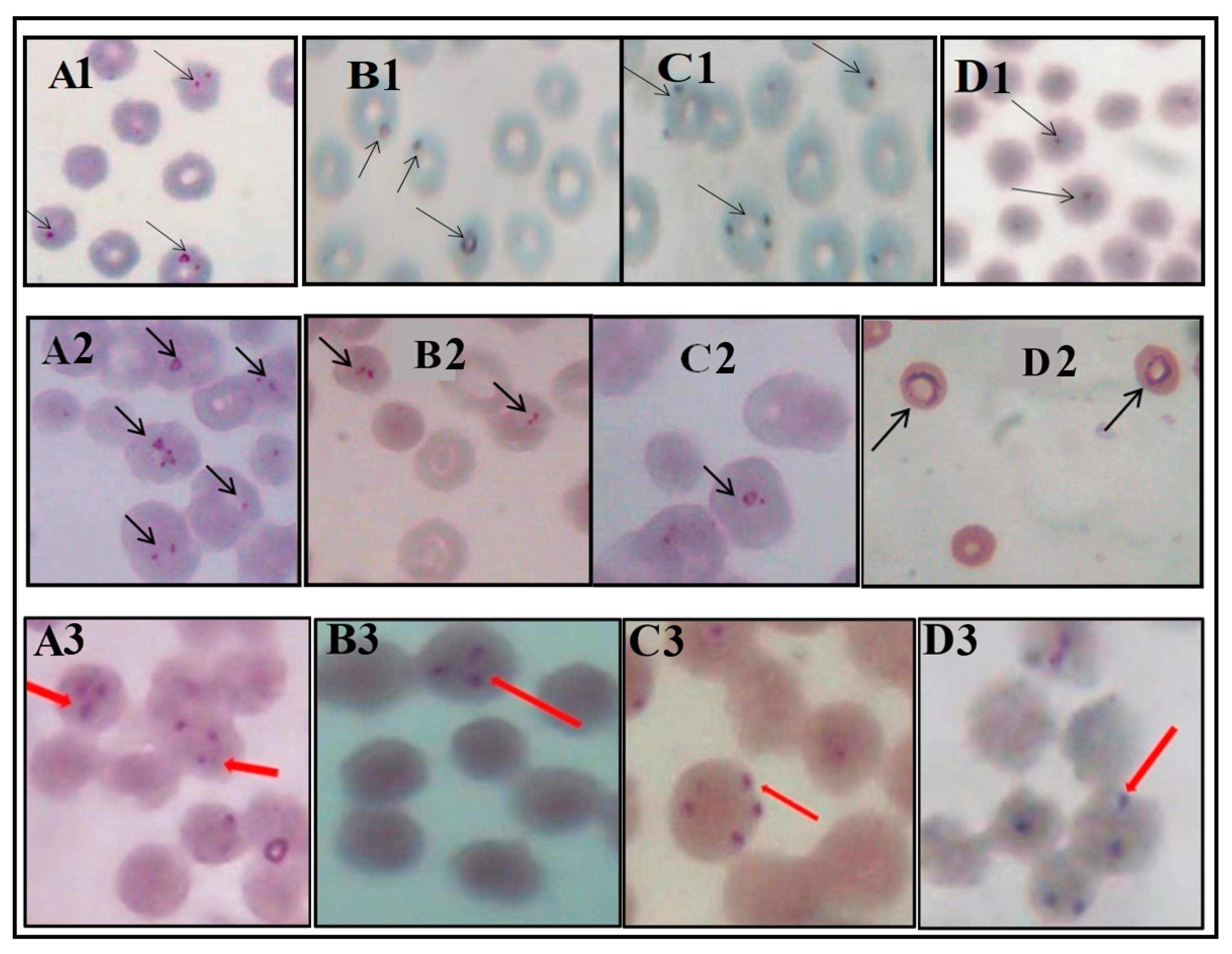 Medsci 10 00010 g001 Medsci 10 00010 g001