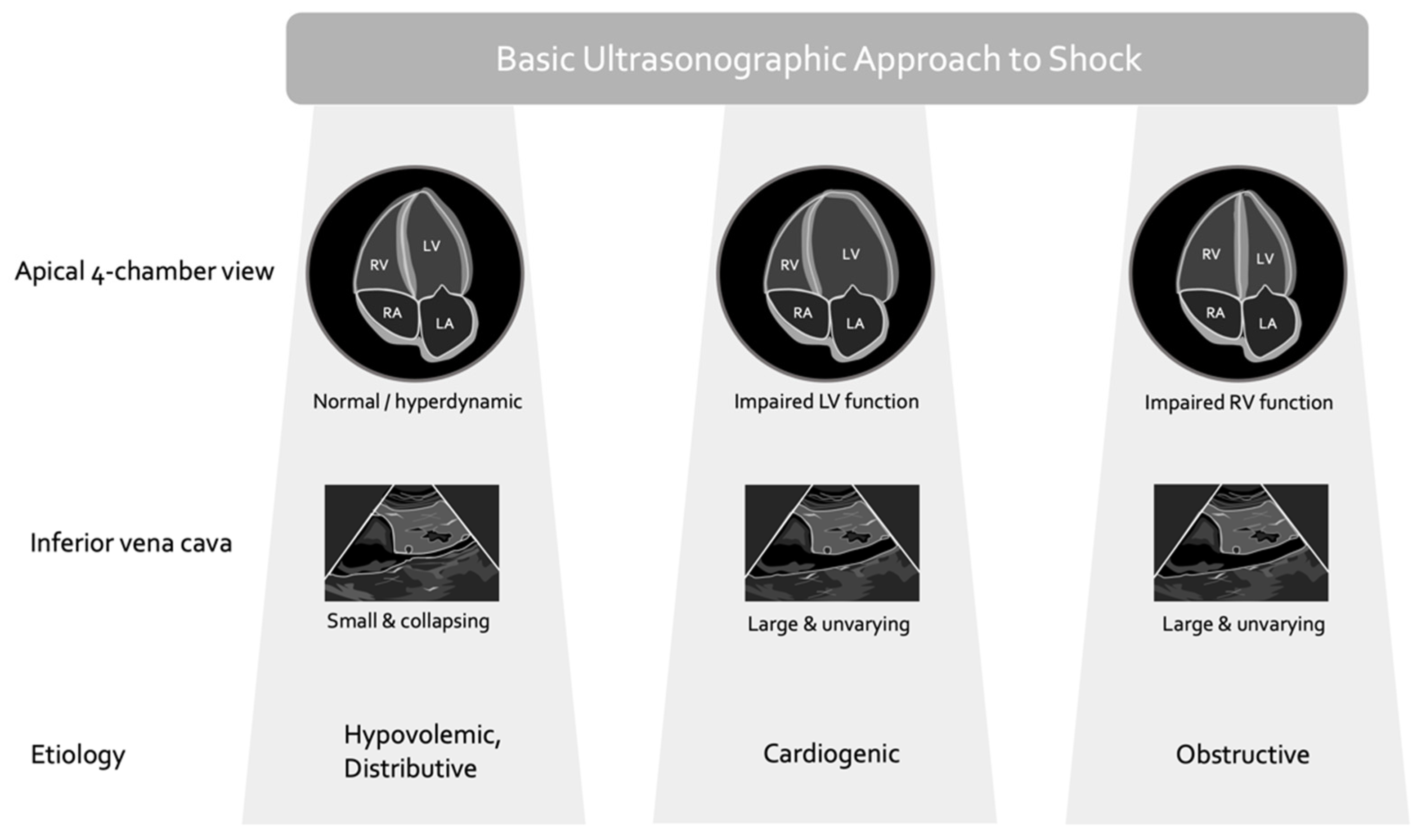 Medsci 10 00012 g001 Medsci 10 00012 g001