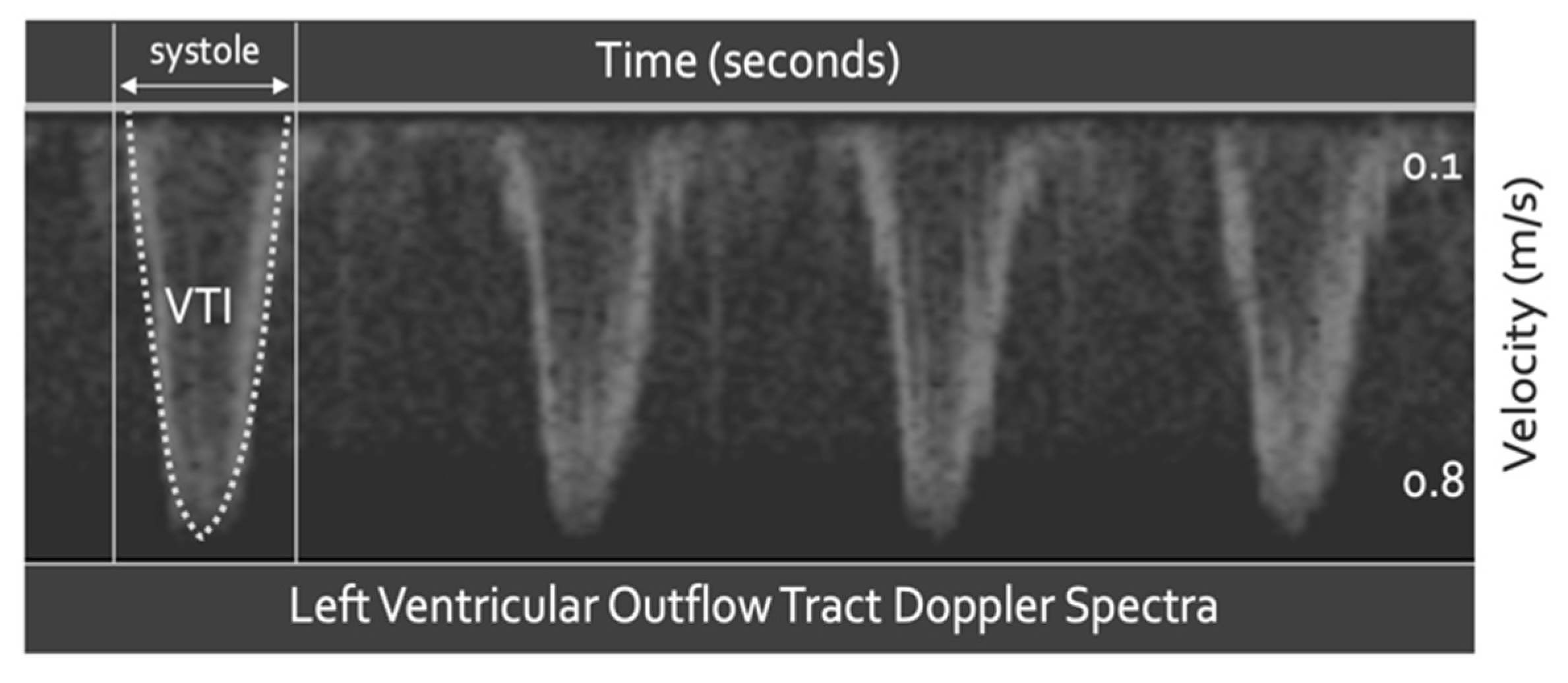 Medsci 10 00012 g002 Medsci 10 00012 g002