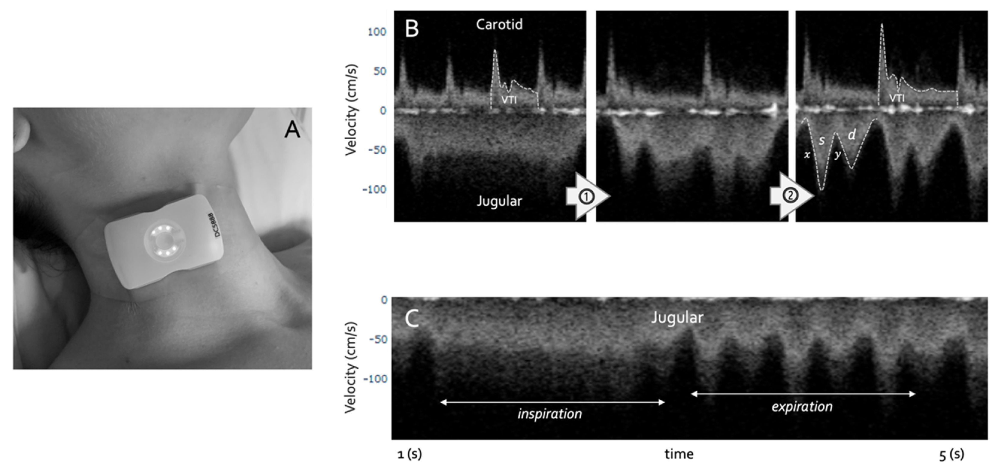 Medsci 10 00012 g004 Medsci 10 00012 g004