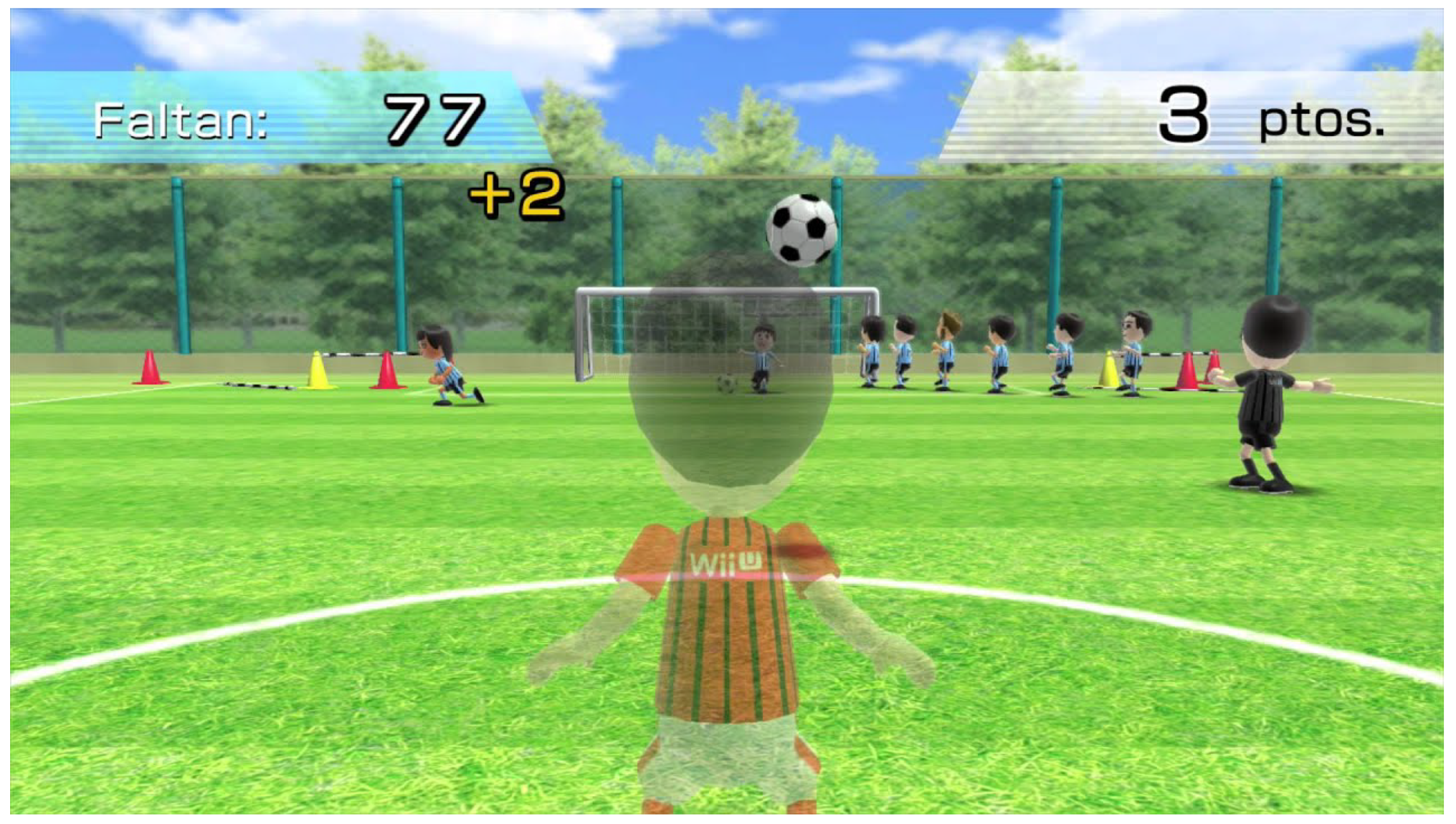 Medsci 10 00013 g006 Medsci 10 00013 g006