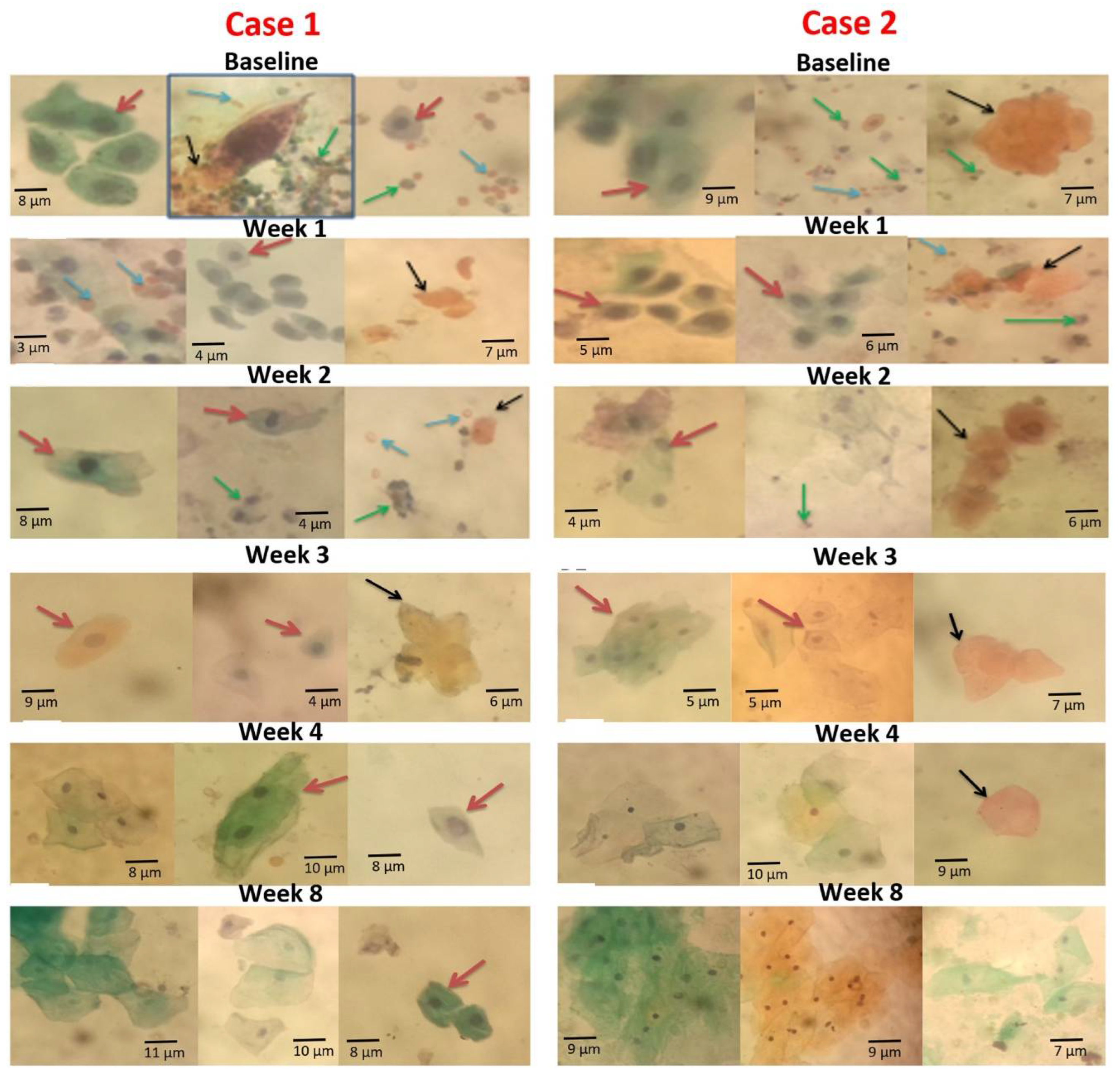 Medsci 10 00014 g005 Medsci 10 00014 g005