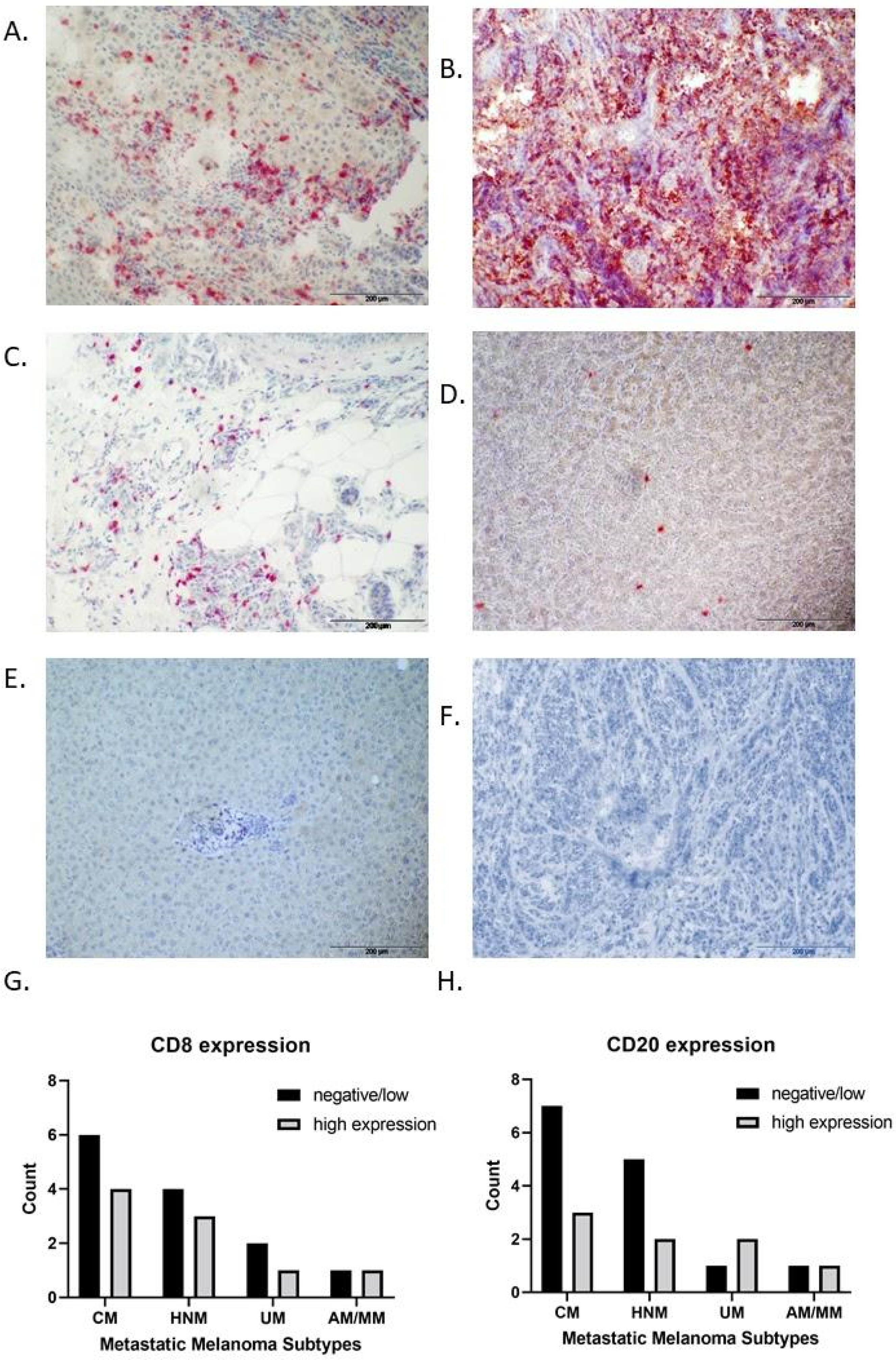 Medsci 10 00026 g001 550