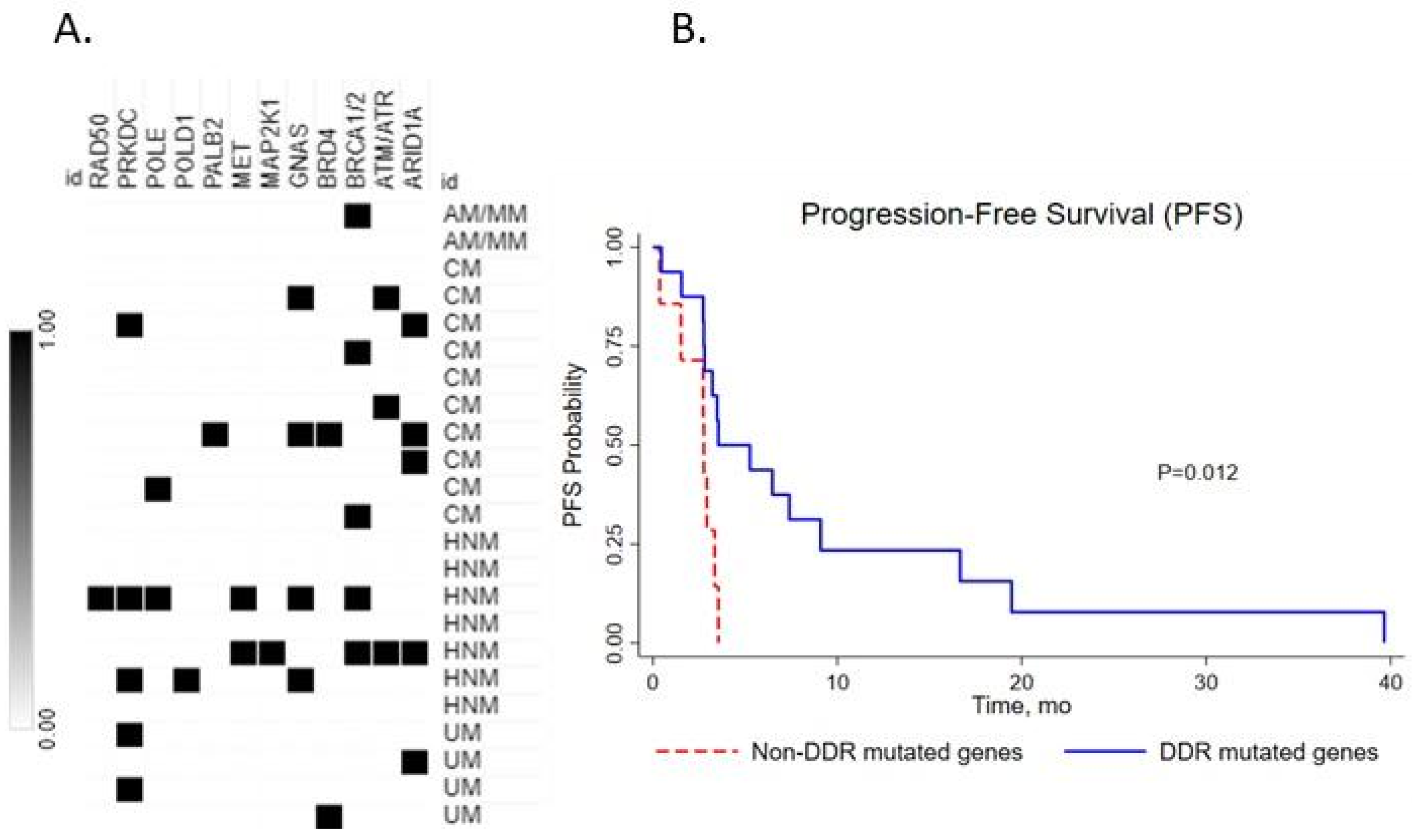 Medsci 10 00026 g003 550