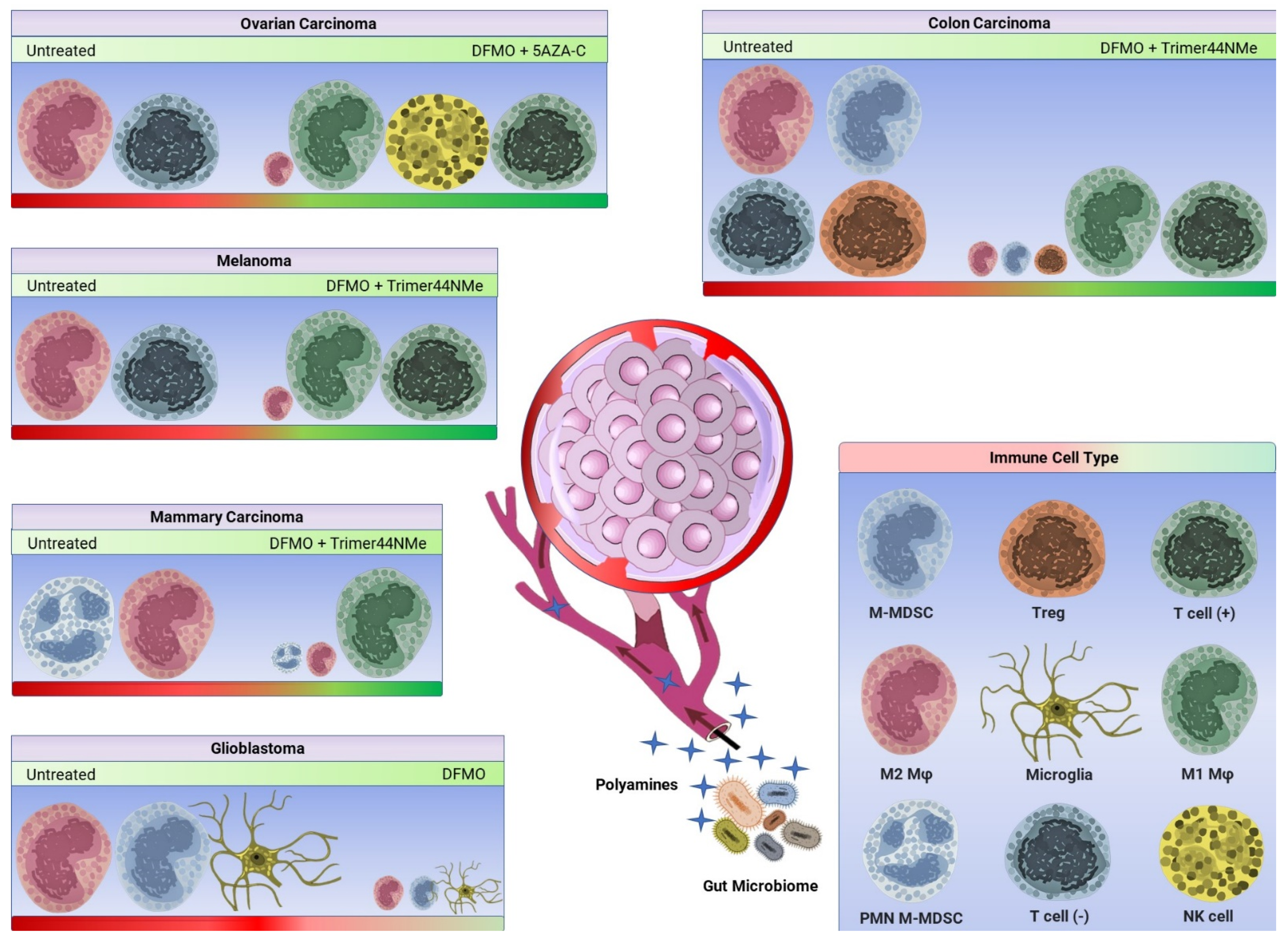 Medsci 10 00031 g002
