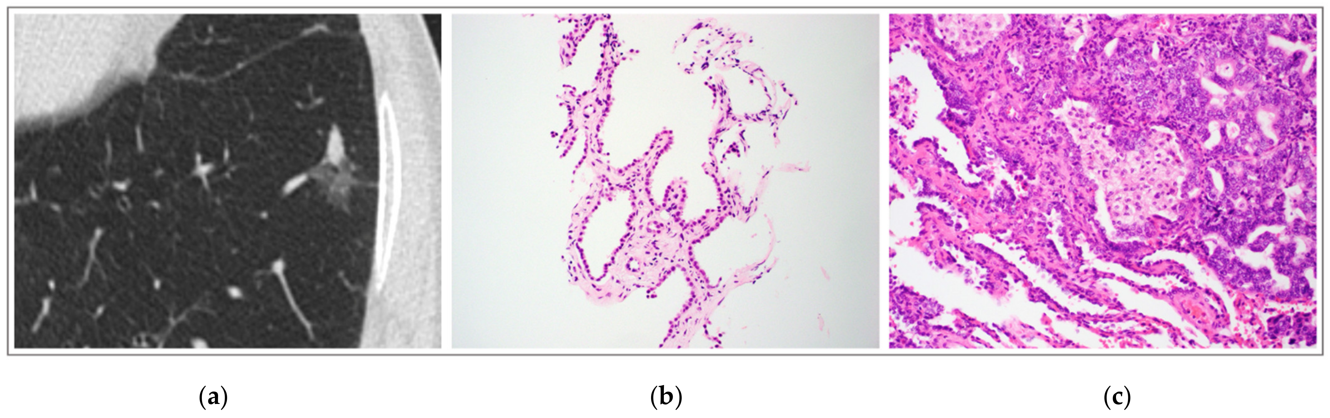 Medsci 10 00034 g002 Medsci 10 00034 g002