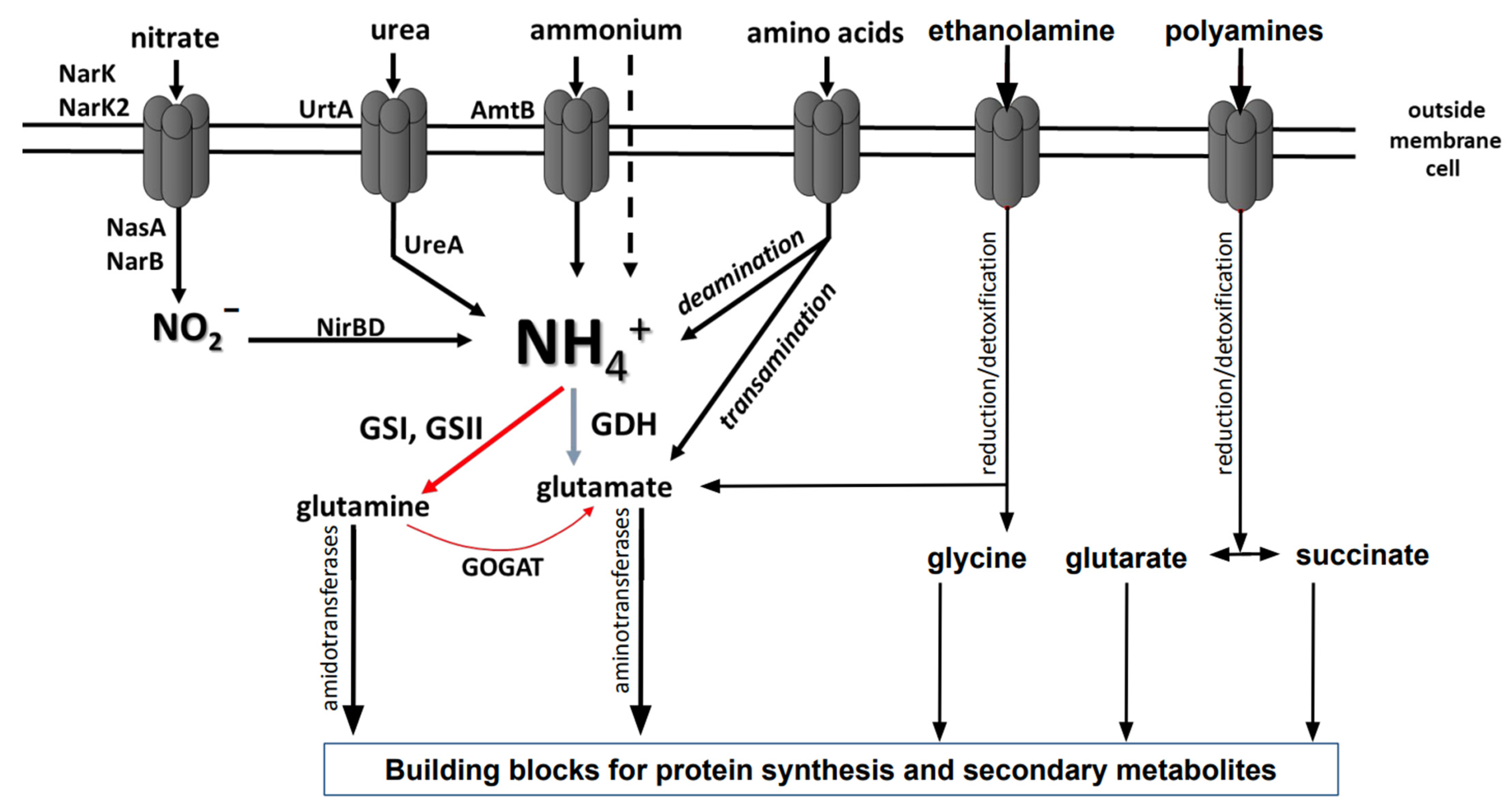 Medsci 10 00040 g001 Medsci 10 00040 g001