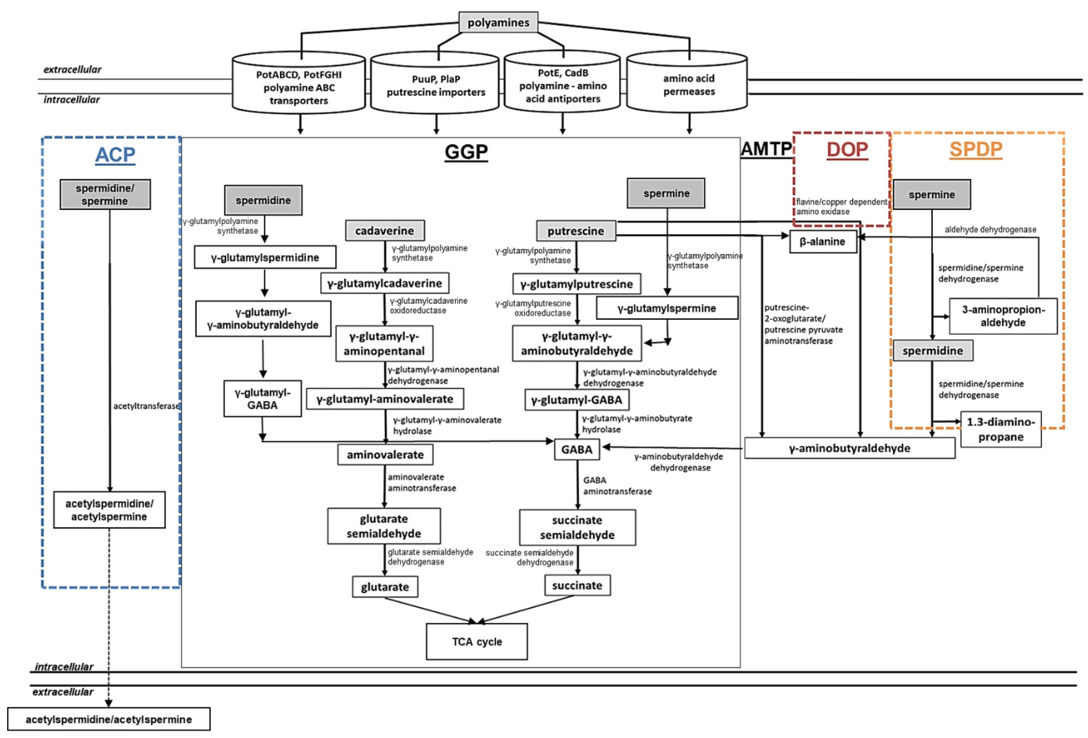Medsci 10 00040 g003 Medsci 10 00040 g003