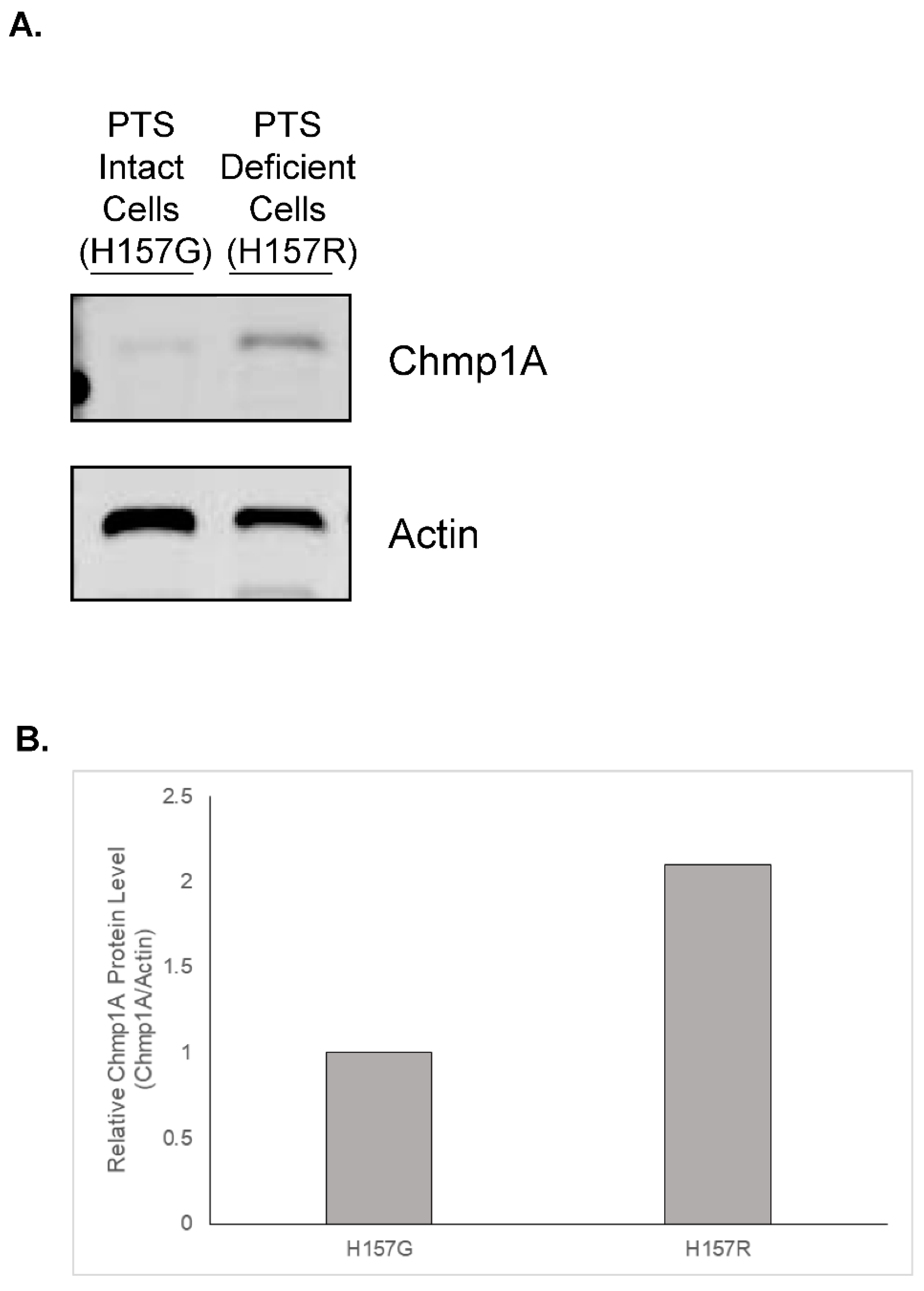 Medsci 10 00045 g001 550