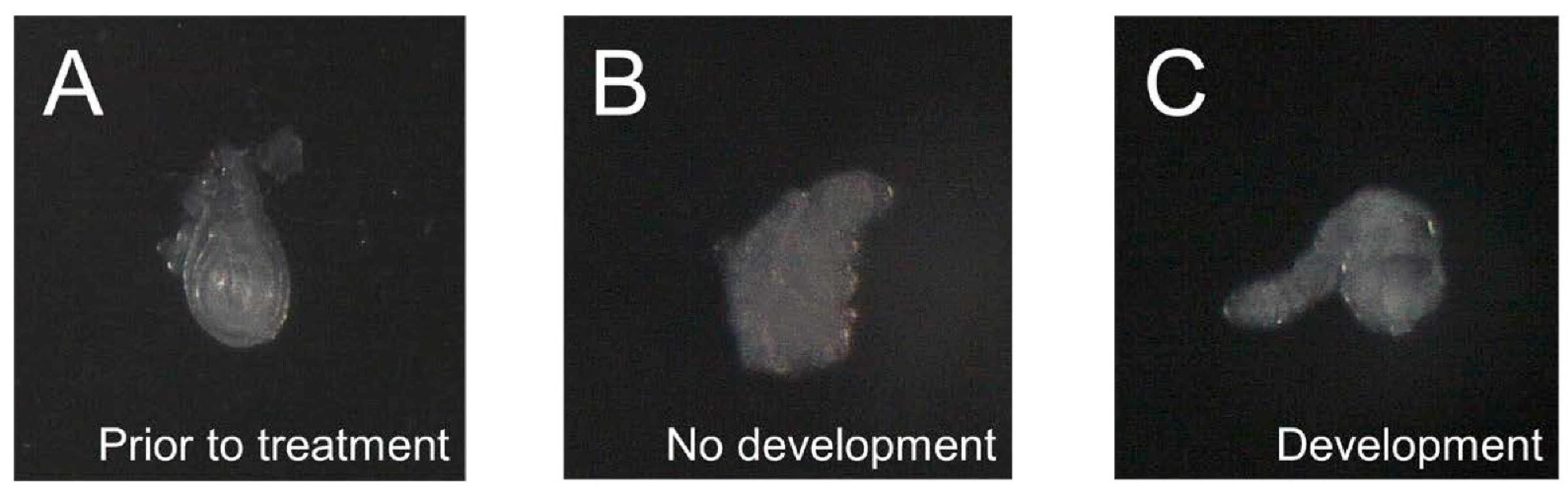 Medsci 10 00045 g002 550
