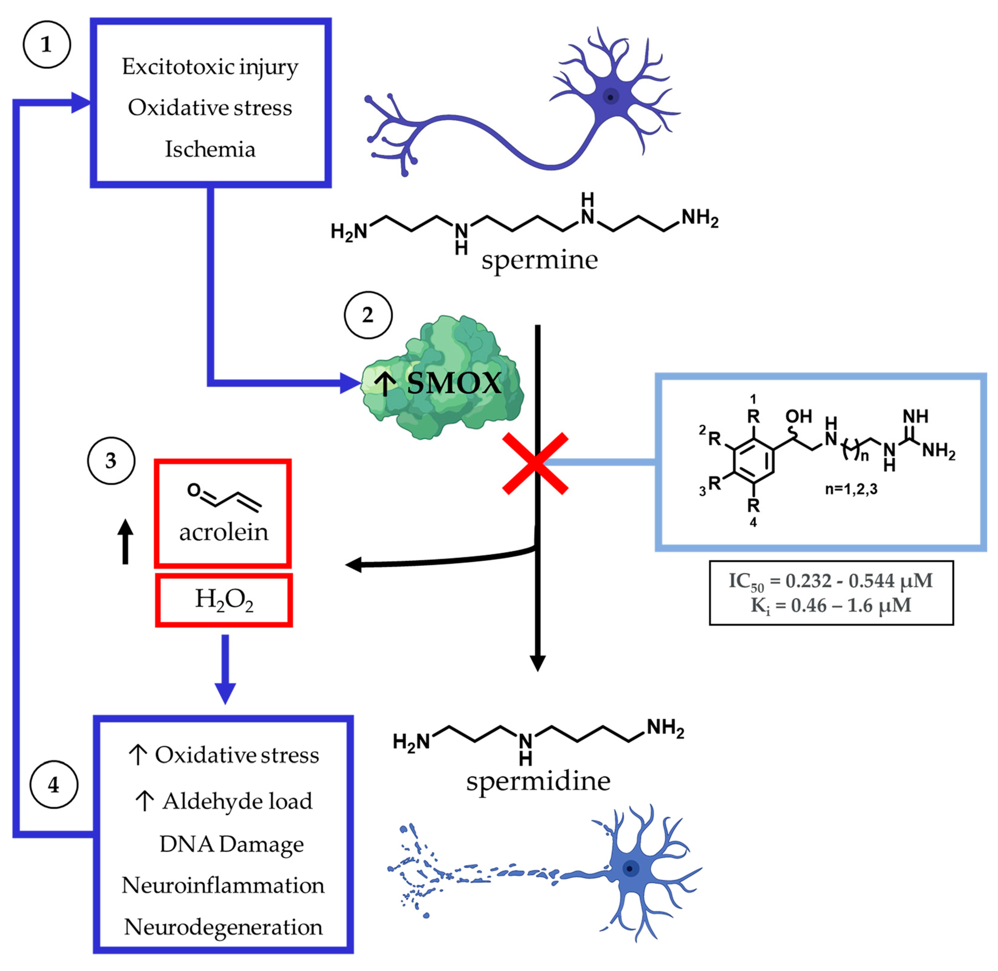 Medsci 10 00047 g001 Medsci 10 00047 g001