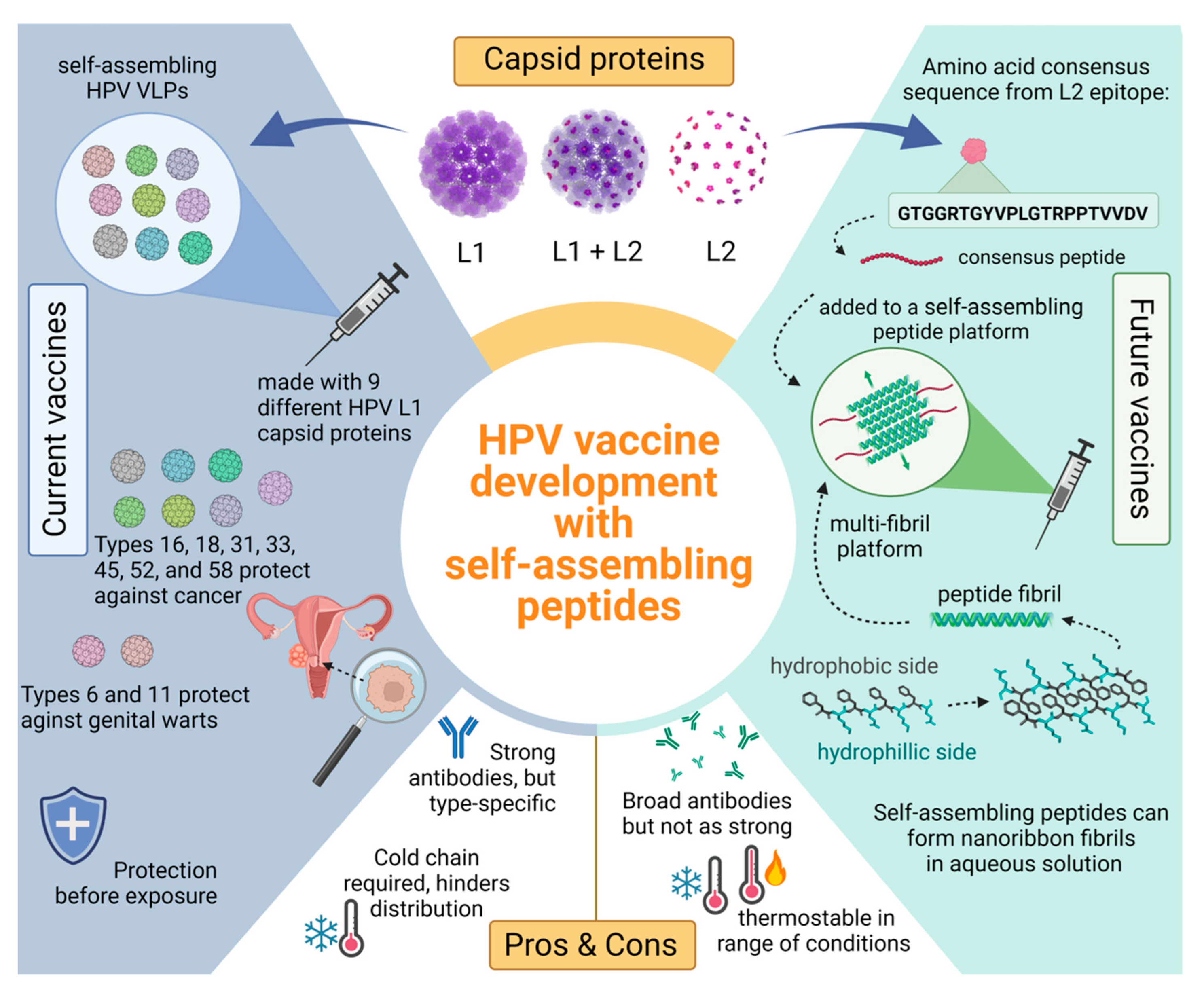 Medsci 10 00052 g002 Medsci 10 00052 g002
