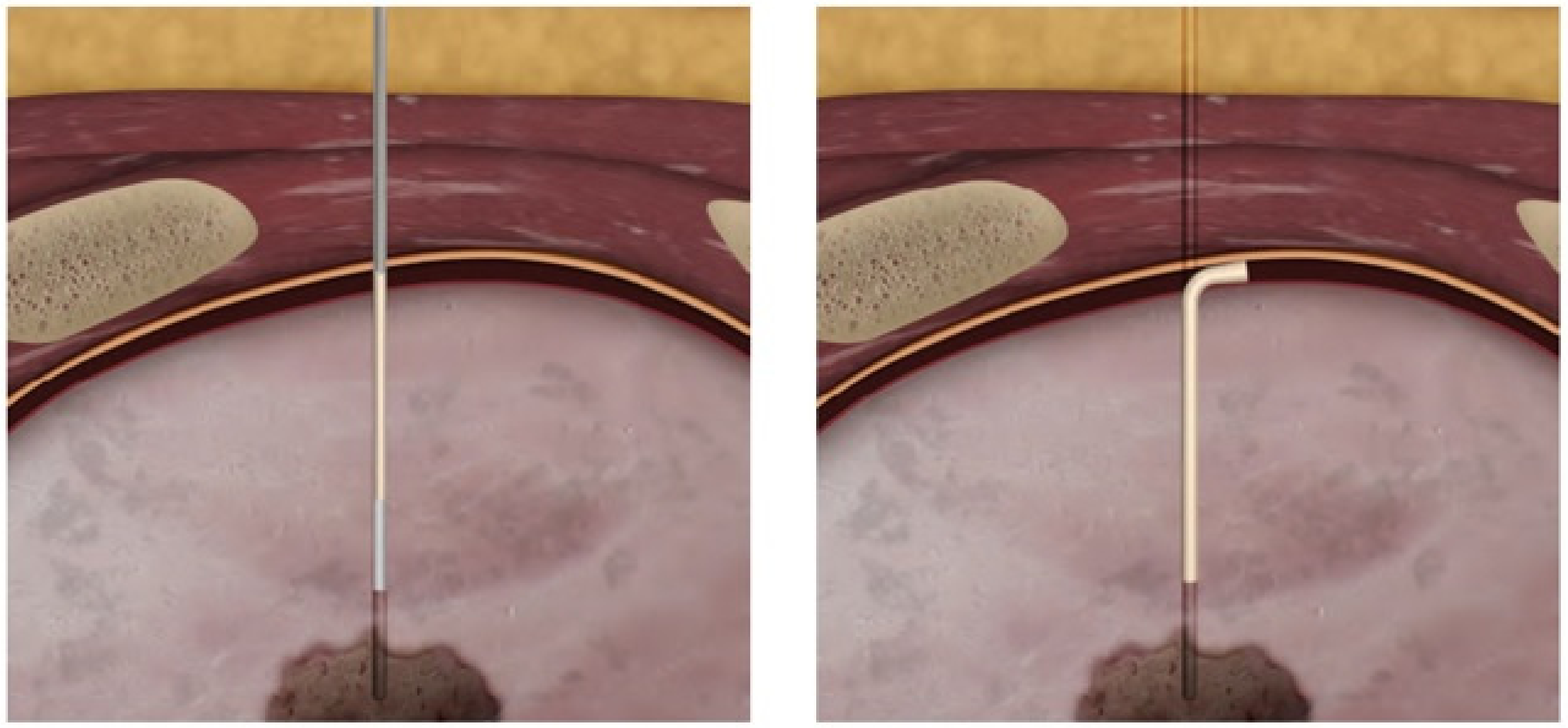 Medsci 10 00054 g001