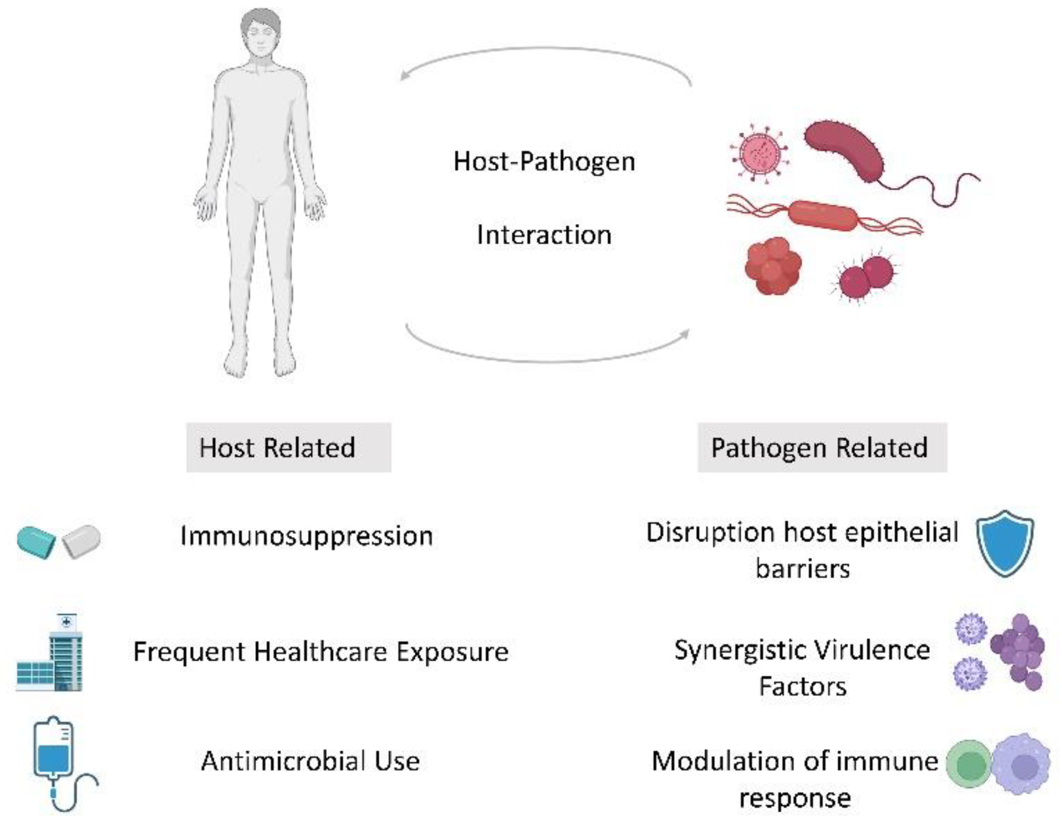 Medical sciences free full text polymicrobial infections in the