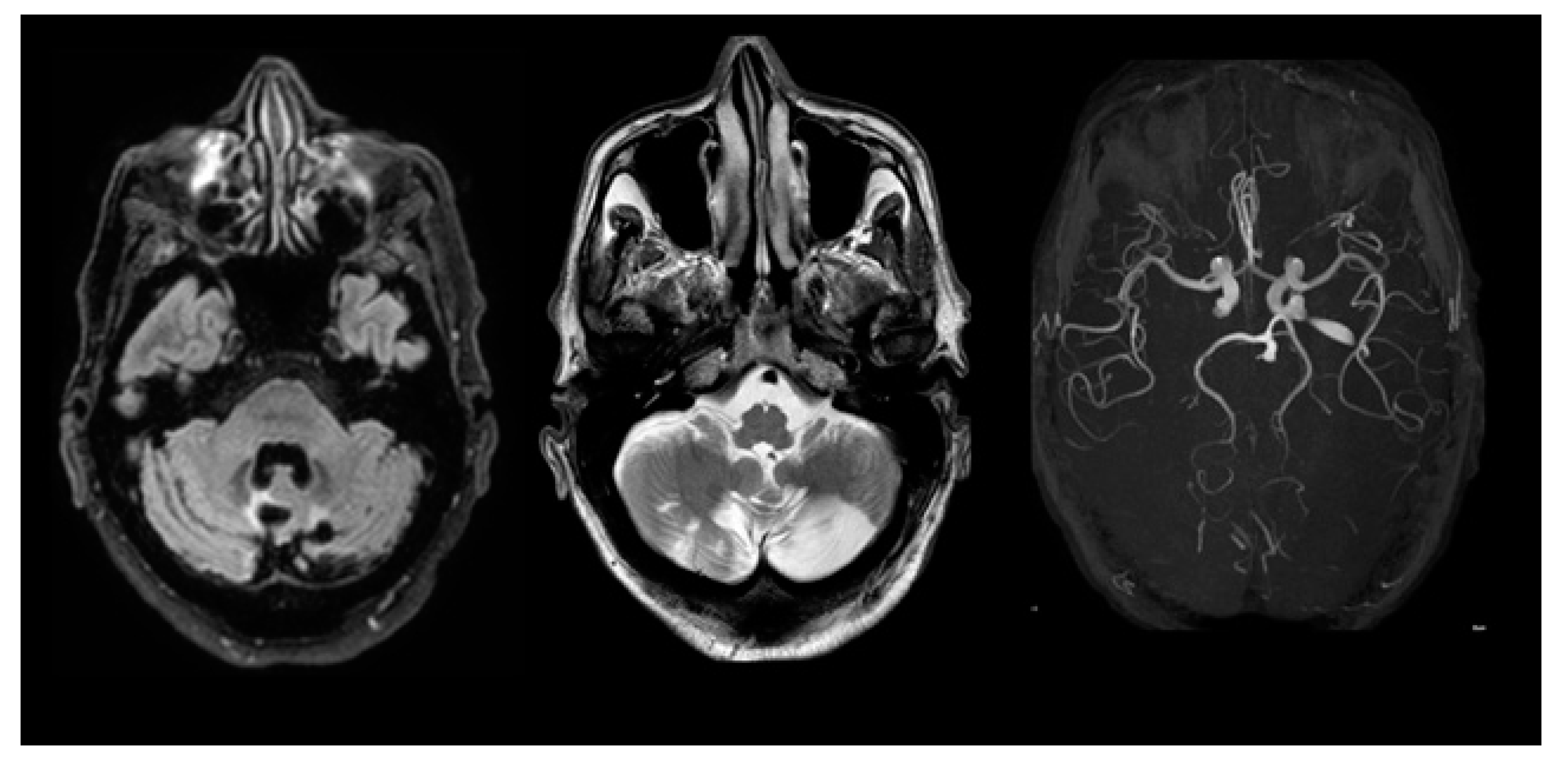 Medsci 11 00034 g001 Medsci 11 00034 g001