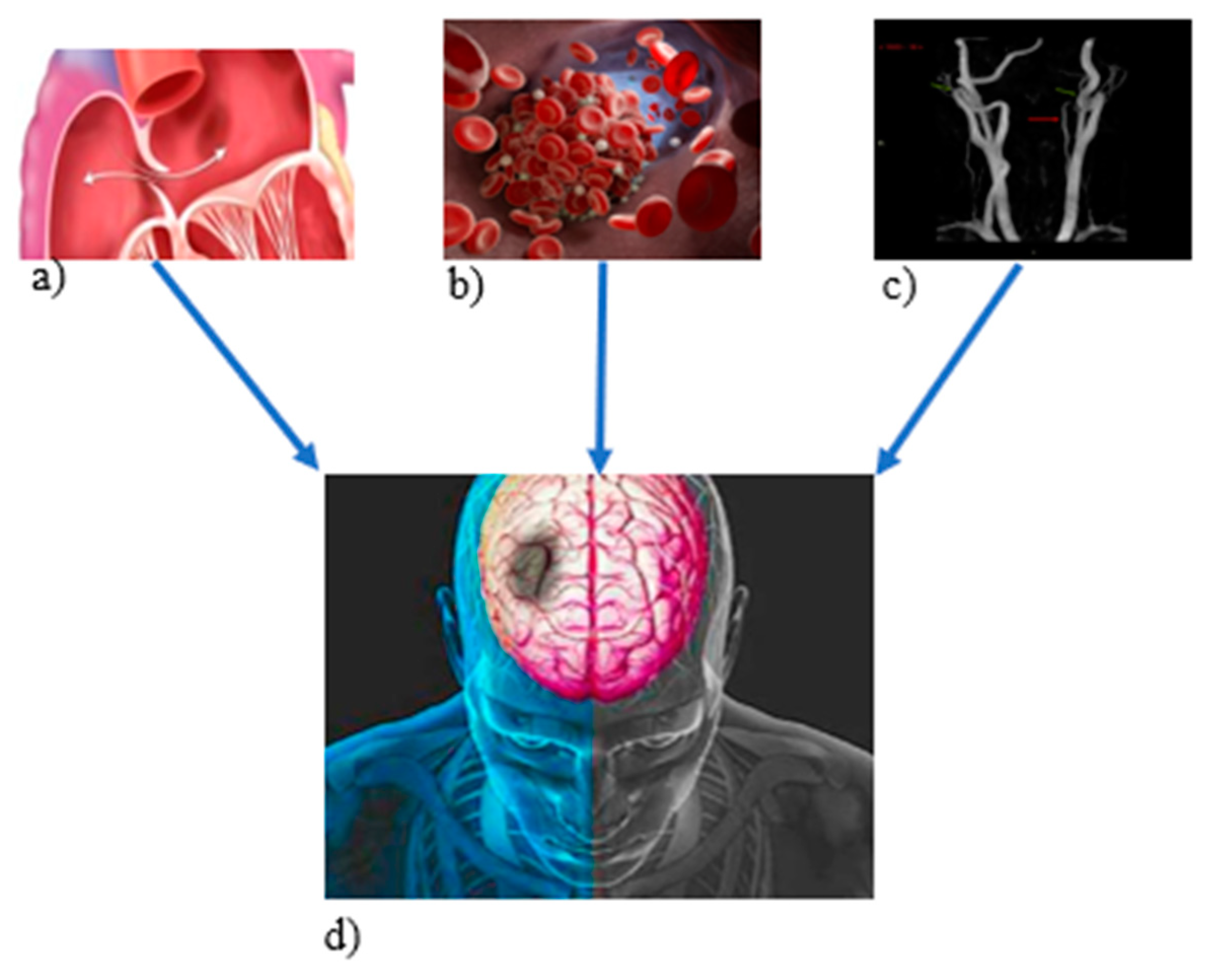 Medsci 11 00034 g006 Medsci 11 00034 g006