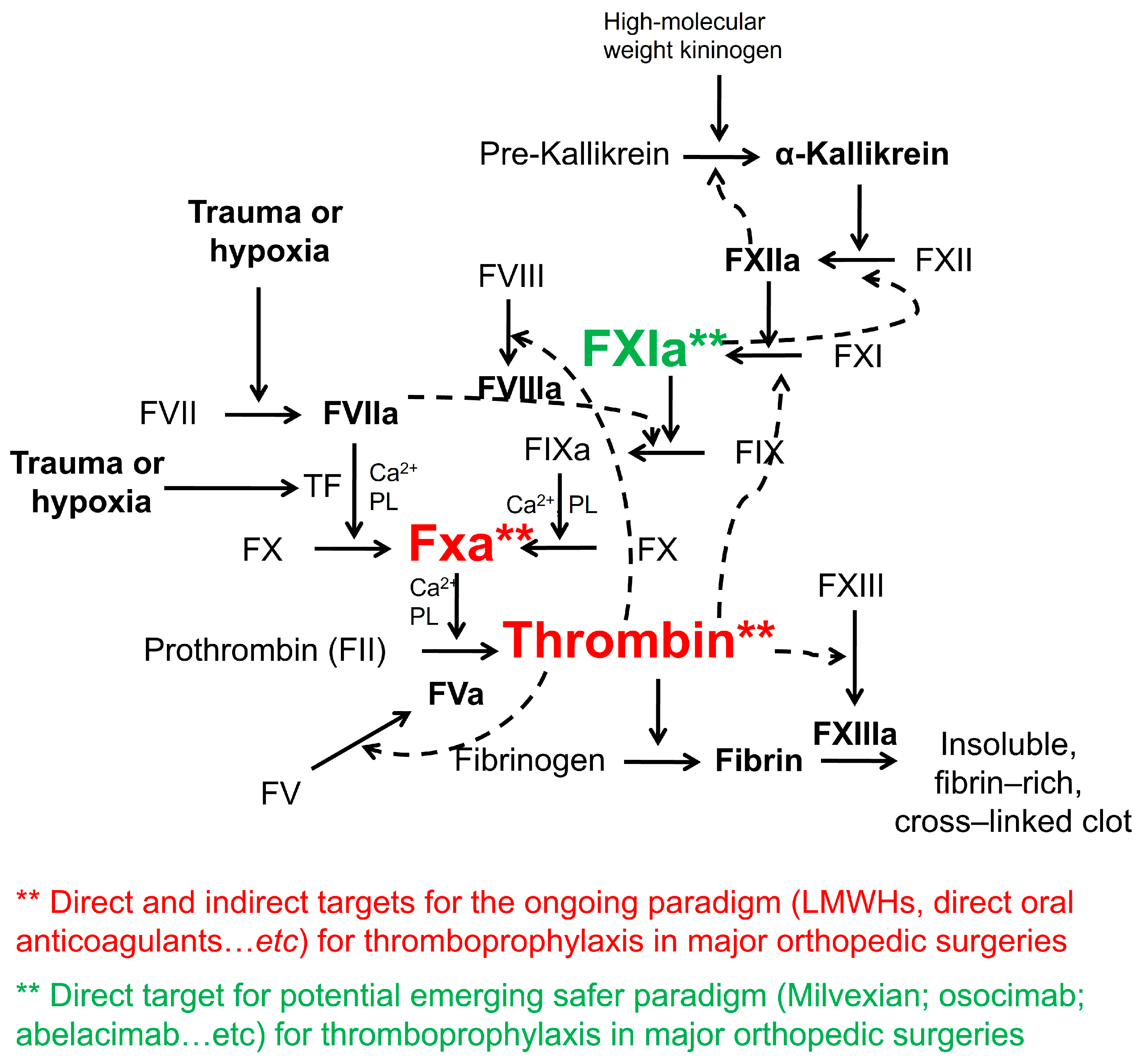 Medsci 11 00049 g001 Medsci 11 00049 g001
