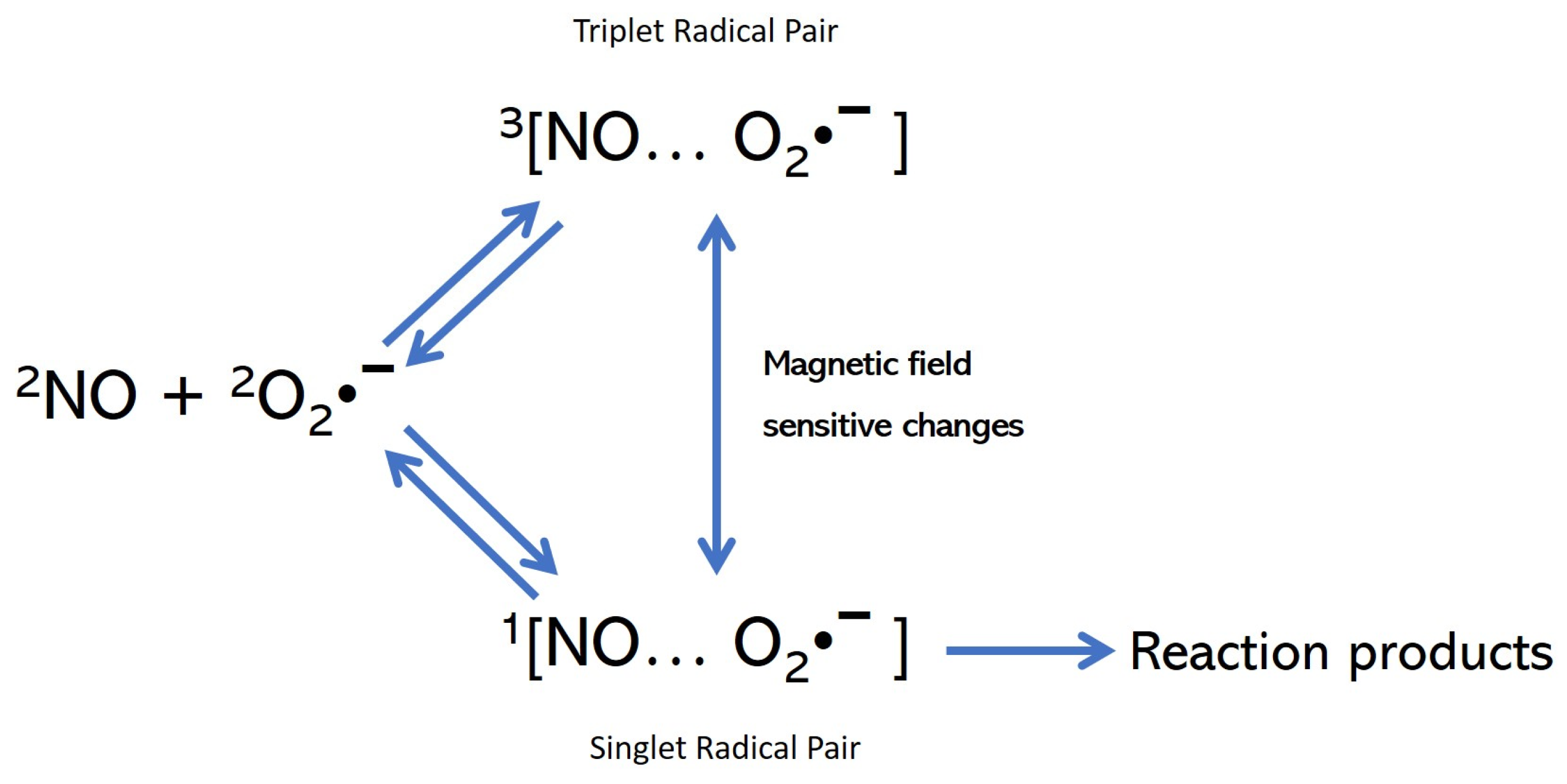 Medsci 11 00058 g003 Medsci 11 00058 g003