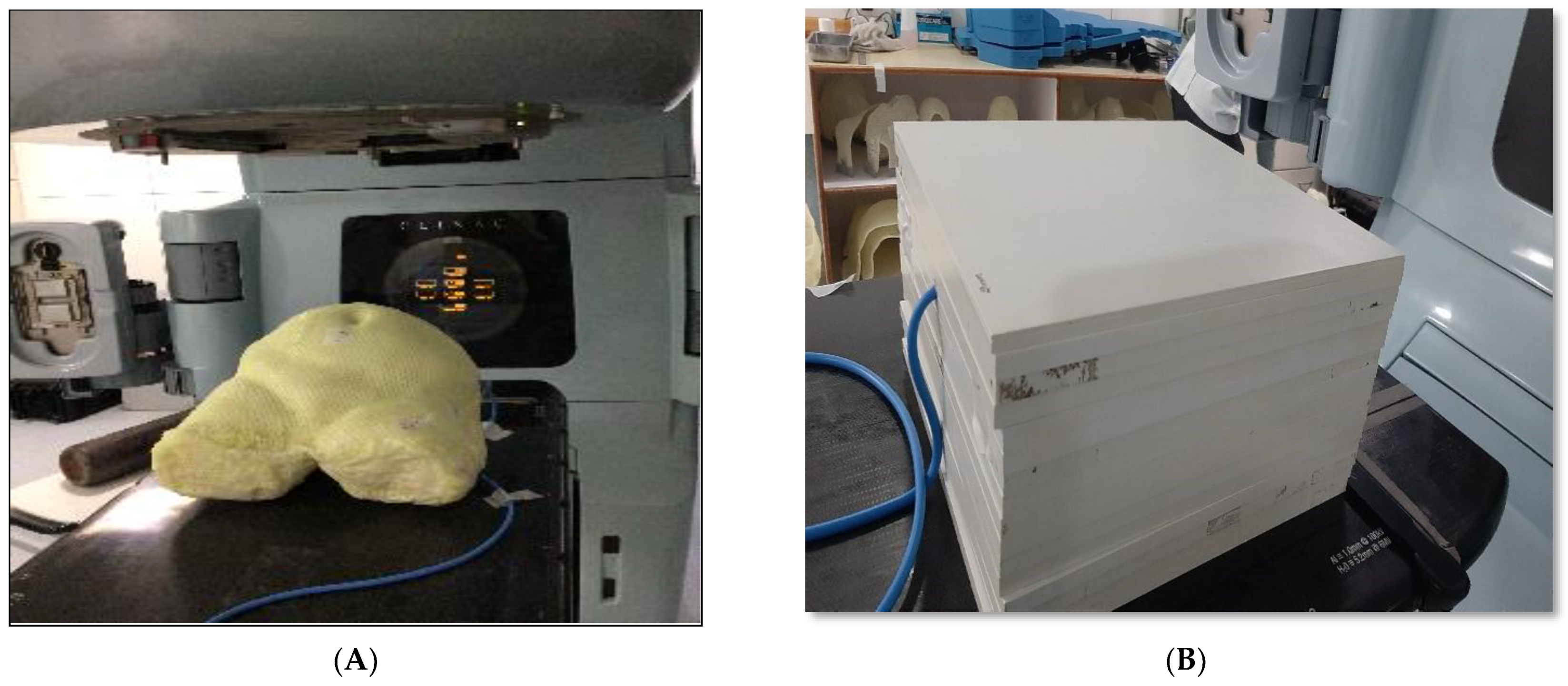 Medsci 11 00059 g001