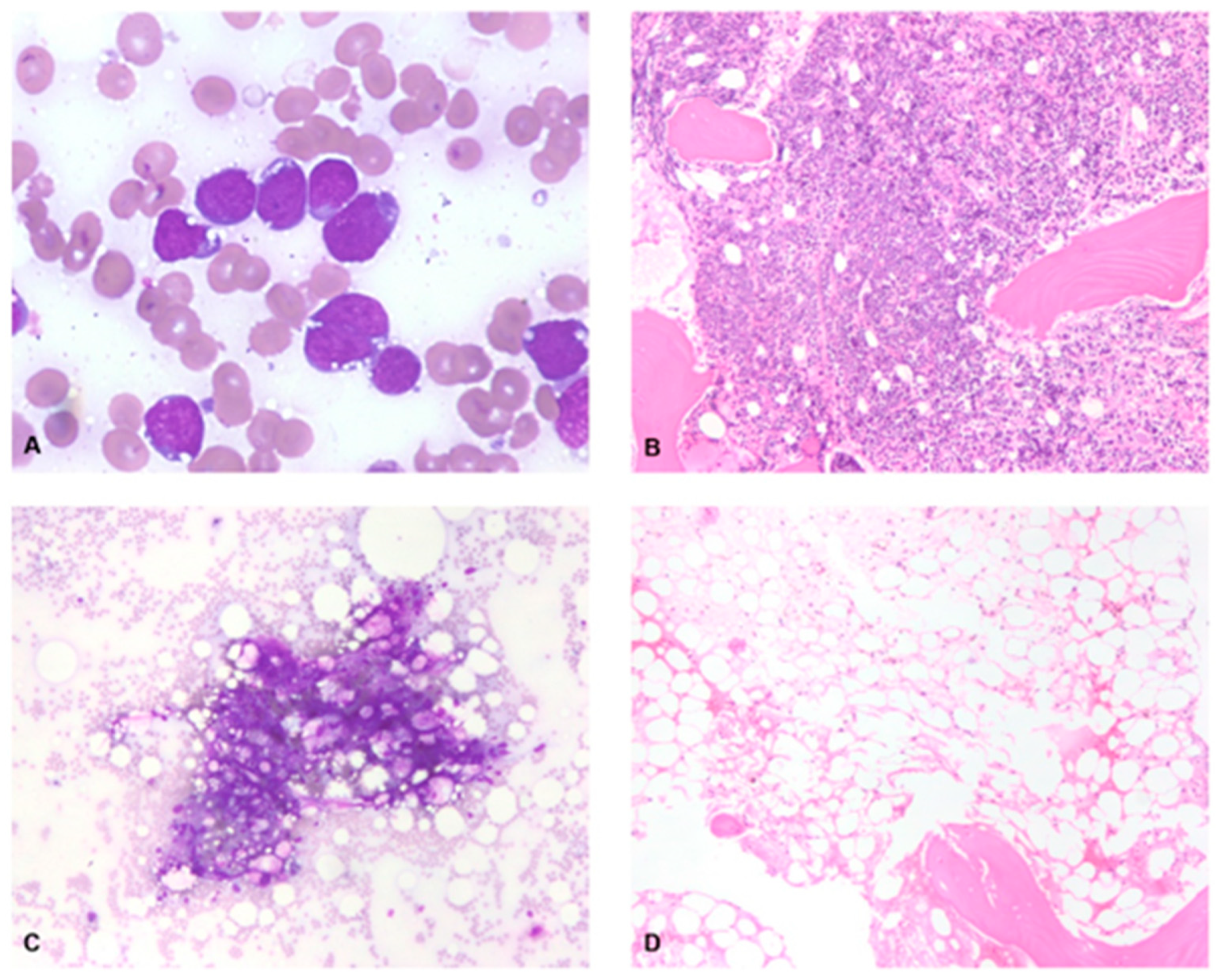 Medsci 11 00067 g001 Medsci 11 00067 g001